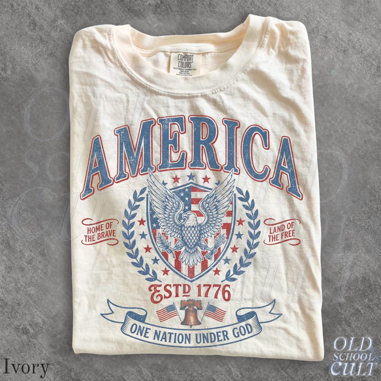 Vintage America Patriotic Eagle Usa Independence Day Tee Fourth July Nation Under God Retro Usa - T-Shirt, Sweatshirt, Hoodie