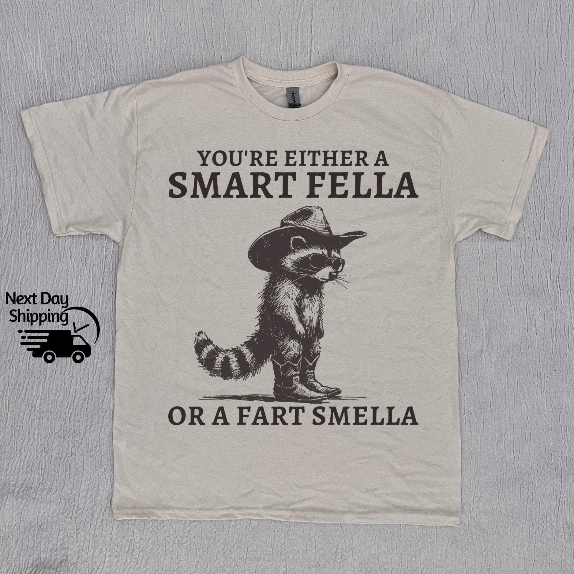 Retro Smart Fella Raccoon 90s Raccoon Vintage Vintage 90s Washed Vintage Distressed - T-Shirt, Sweatshirt, Hoodie
