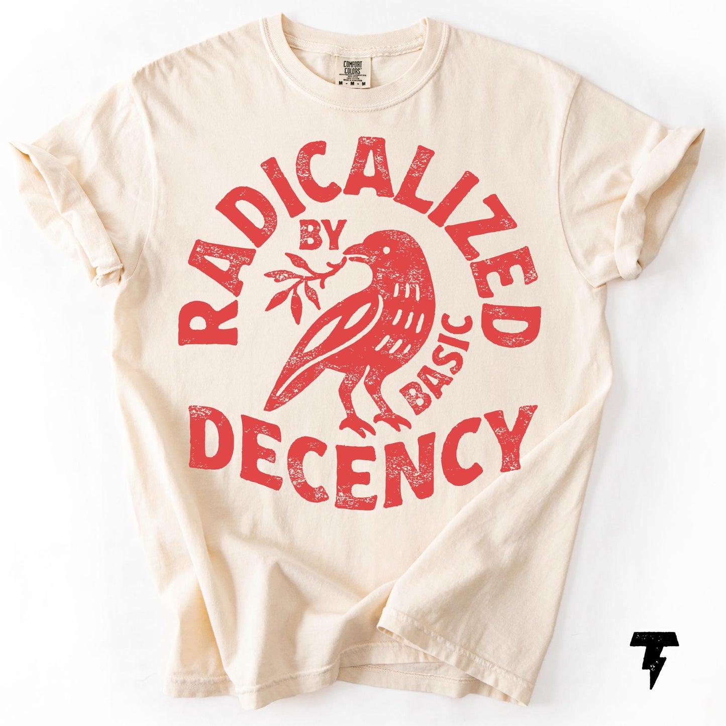 Radicalized Basic Decency Comfort Colors Activist Tee Unisex T-shirt, Sweatshirt, Hoodie - T-Shirt, Sweatshirt, Hoodie