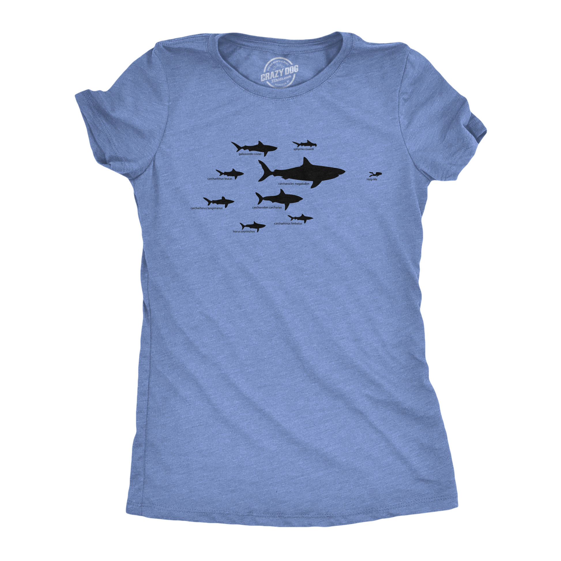 Shark Hierarchy Women's T Shirt - T-Shirt, Sweatshirt, Hoodie