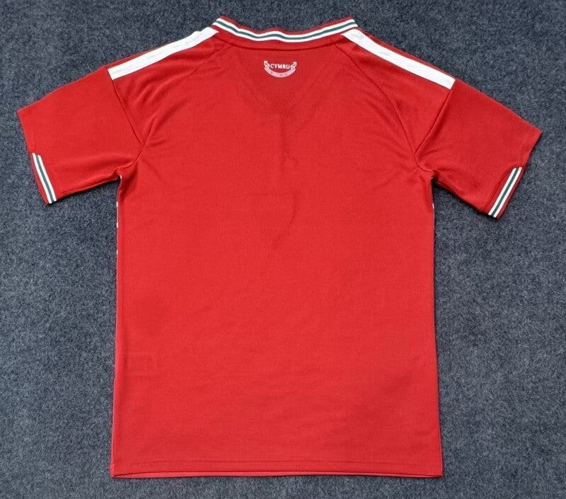 26 27 wales Style 1 Soccer Jersey sports jersey product view 1