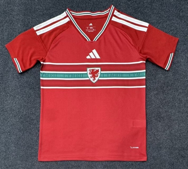 26 27 wales Style 2 Soccer Jersey sports jersey product view 1