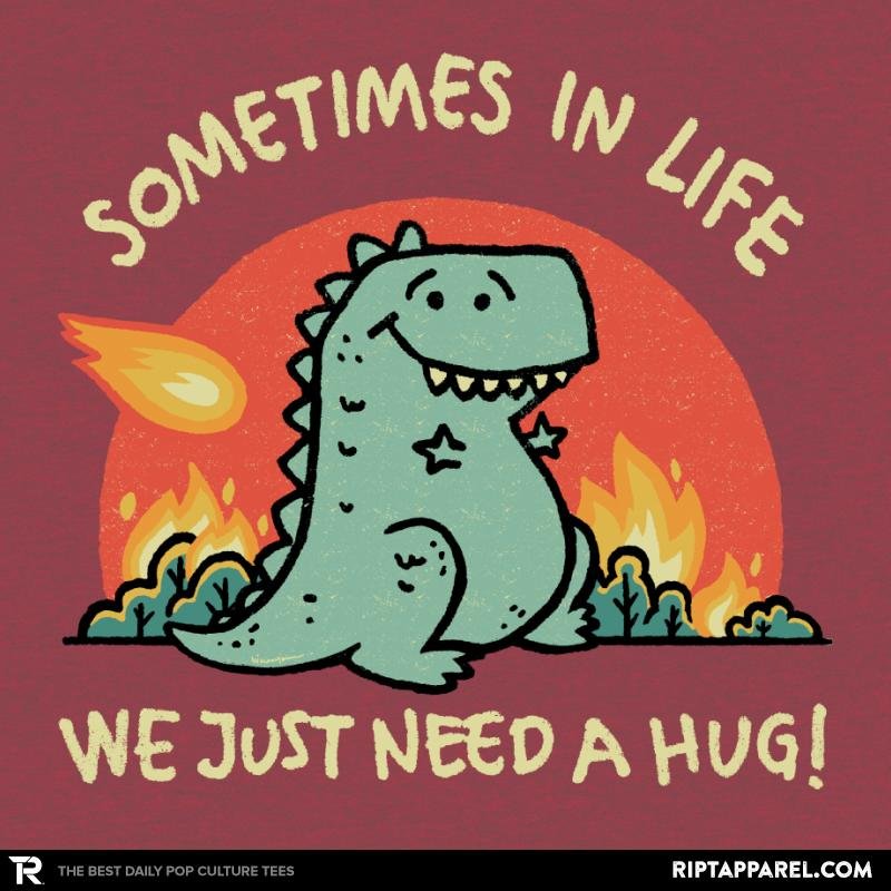 Sometimes in Life We Need A Hug Unisex T-shirt, Sweatshirt, Hoodie, Long Sleeve Tee - T-Shirt, Sweatshirt, Hoodie
