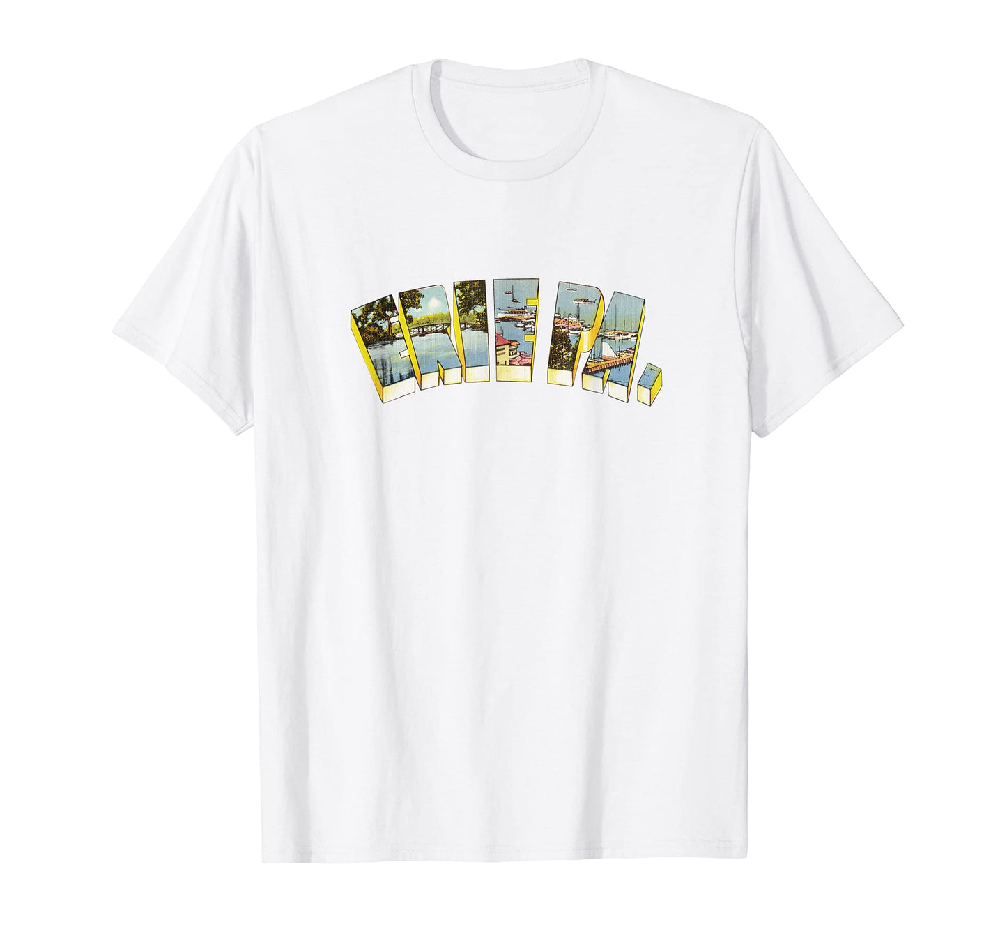 Erie Pennsylvania Pa T-Shirt - Unique Graphic for Adults - T-Shirt, Sweatshirt, Hoodie