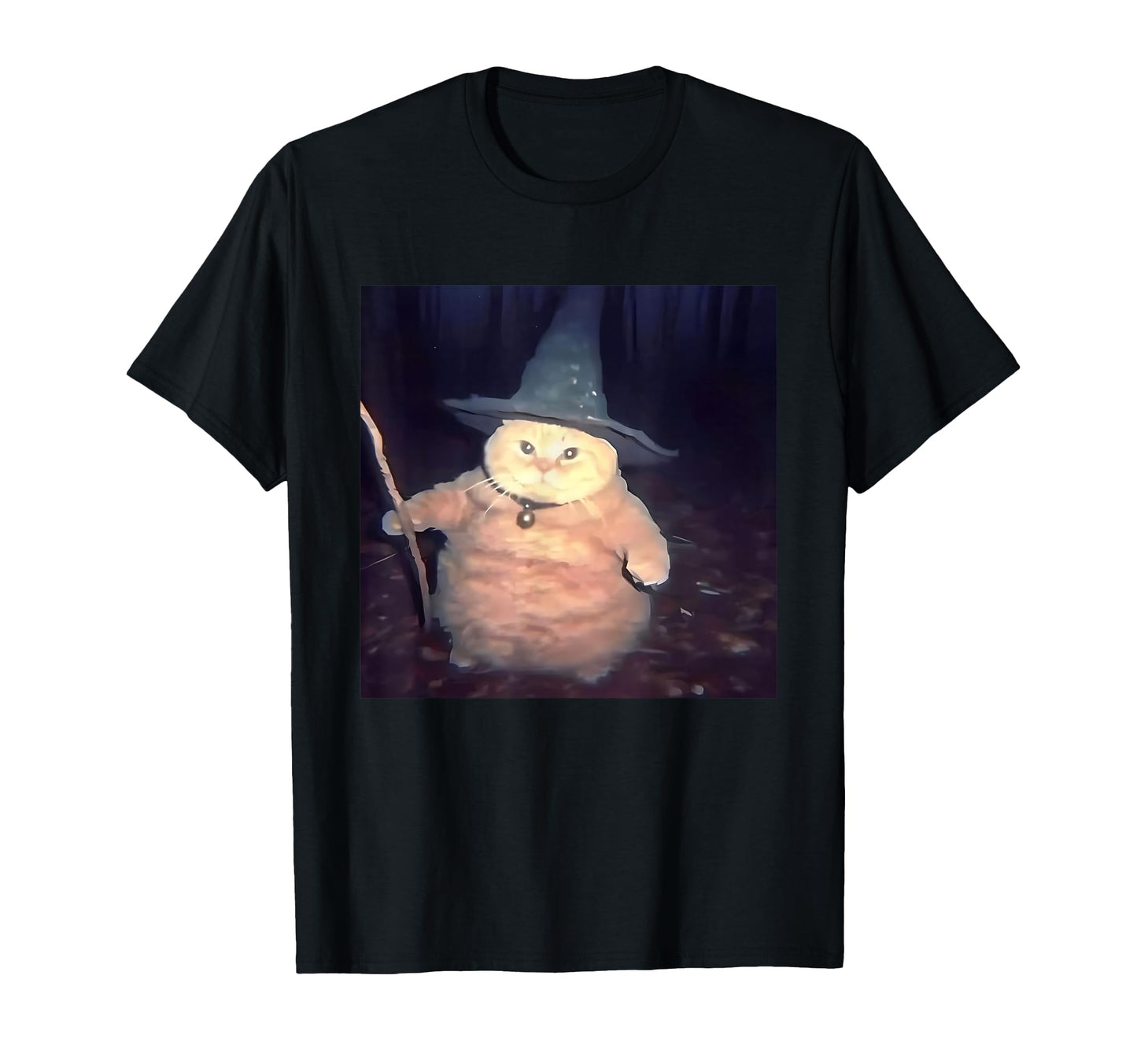 Cheeseball Wizard Cat 90S Orange Cat T-Shirt - Graphic Print for Adults - T-Shirt, Sweatshirt, Hoodie