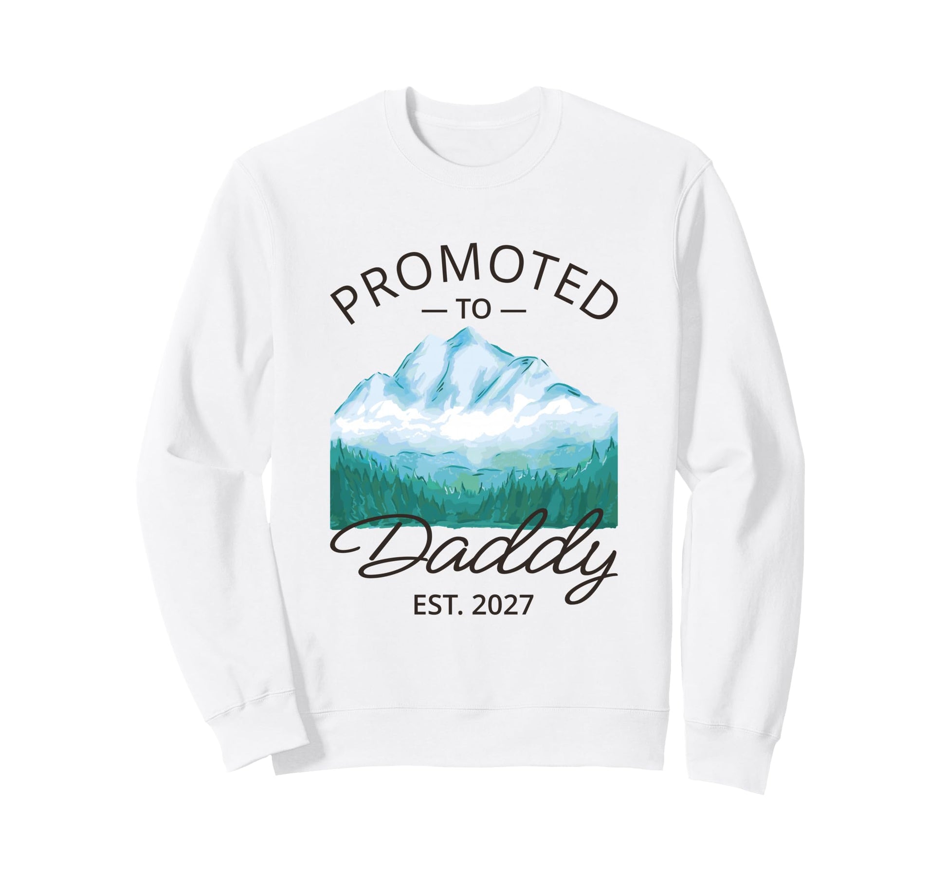 Promoted To Daddy 2027 Sweatshirt - Casual Everyday Wear Men Women - T-Shirt, Sweatshirt, Hoodie