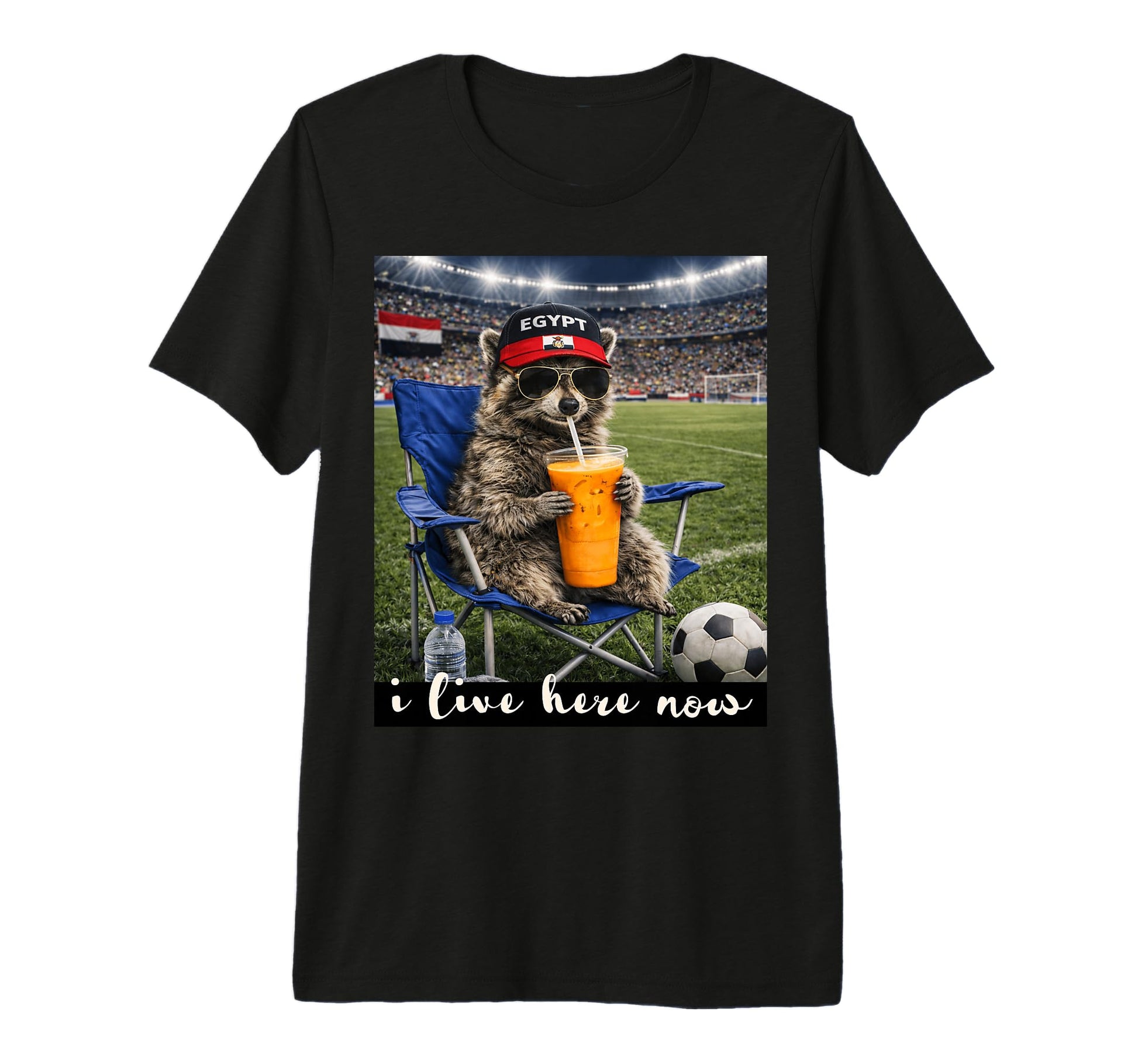 Funny Raccoon Egypt Soccer Fan T-Shirt - Casual Everyday Wear Men Women - T-Shirt, Sweatshirt, Hoodie
