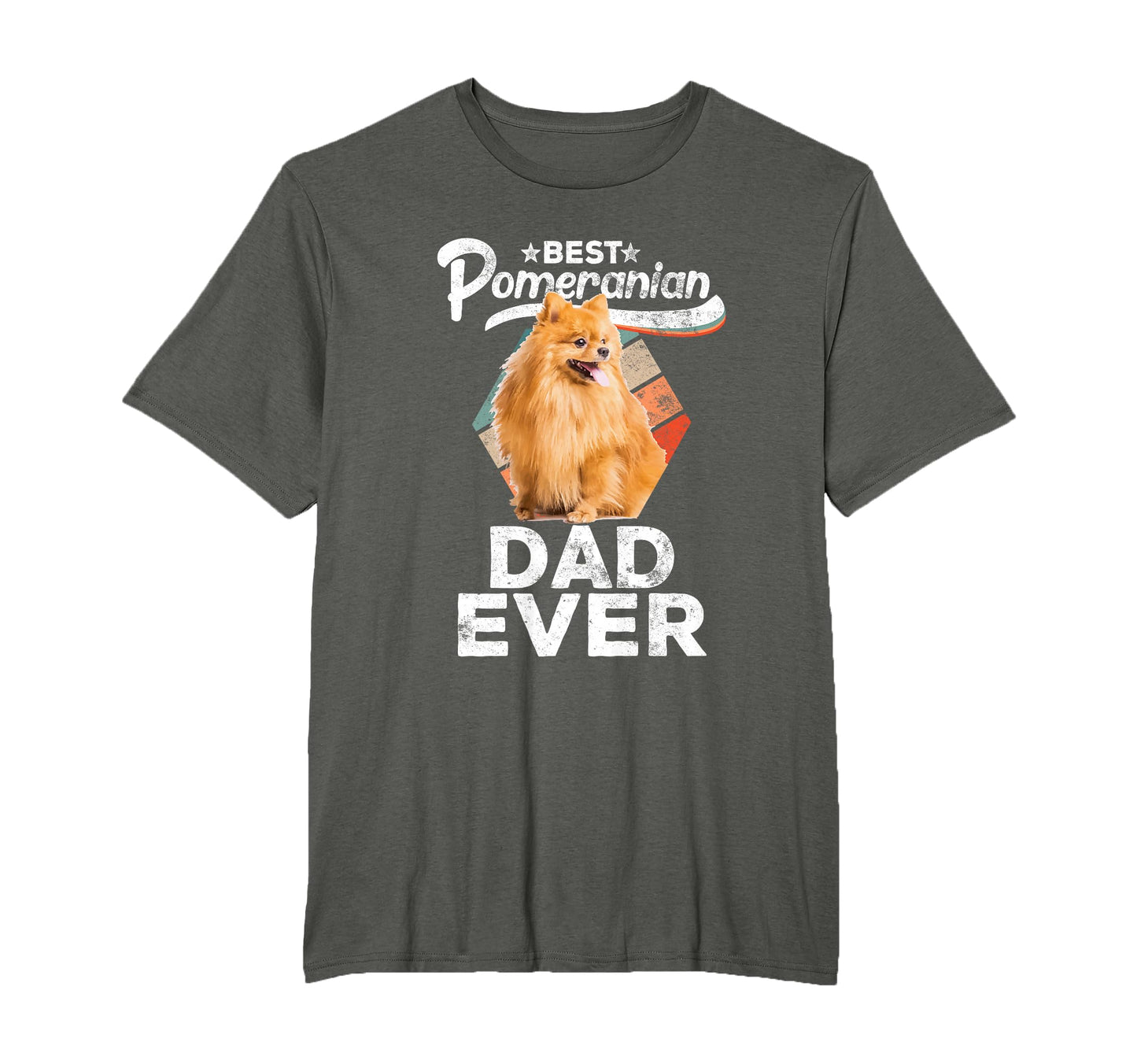 Pomeranian Gifts Best Pomeranian T-Shirt - Aesthetic Graphic for Adults - T-Shirt, Sweatshirt, Hoodie