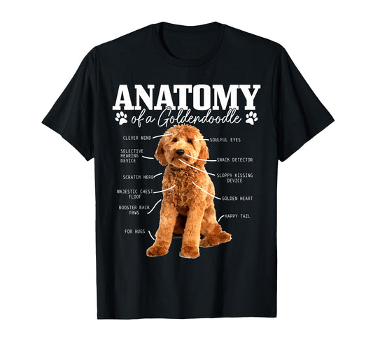 Anatomy Goldendoodle Funny Dog T-Shirt - Custom Art Print for Adults - T-Shirt, Sweatshirt, Hoodie