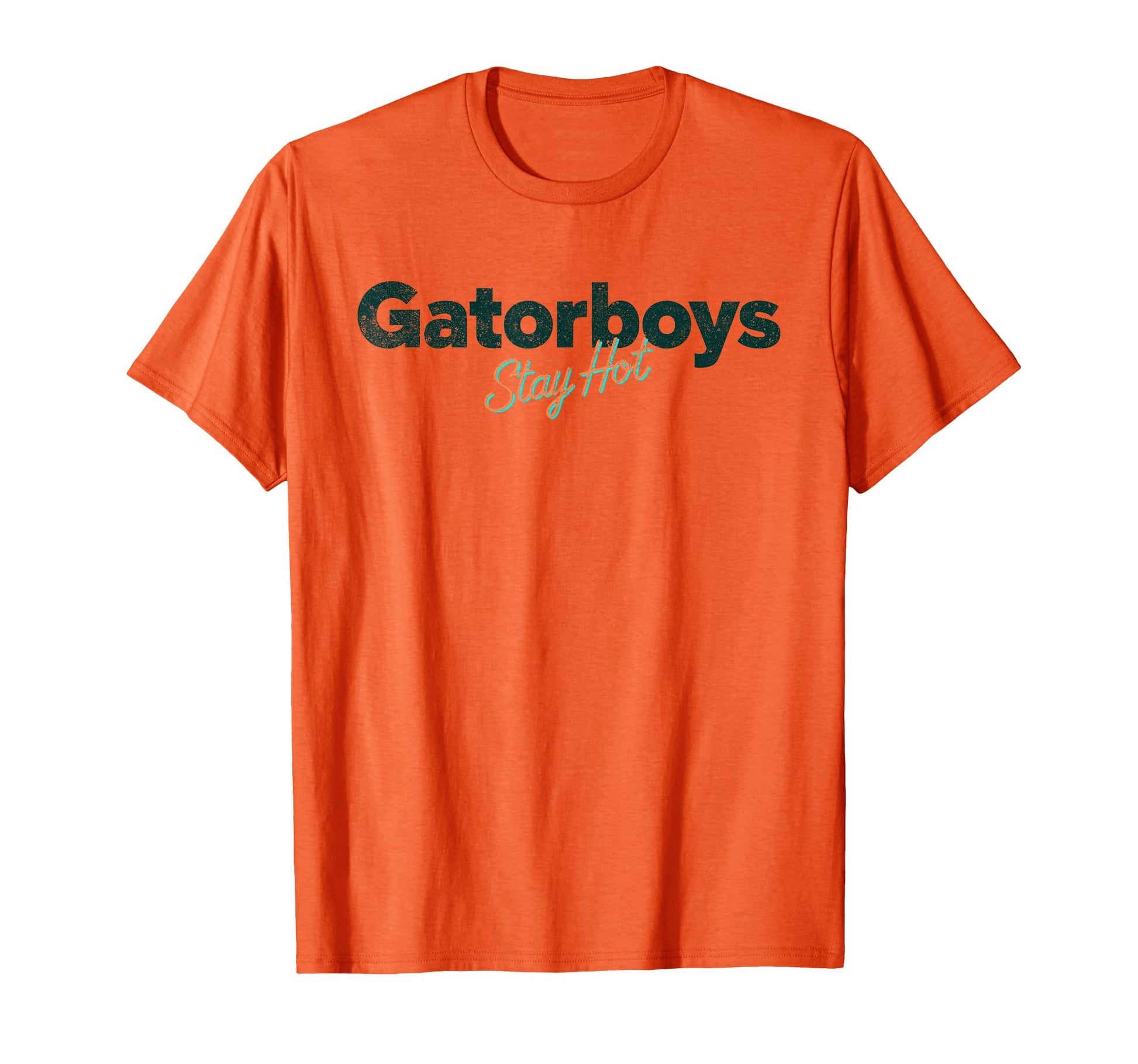 Funny Gator Stay Hot Gifts T-Shirt - Minimalist Print for Adults - T-Shirt, Sweatshirt, Hoodie