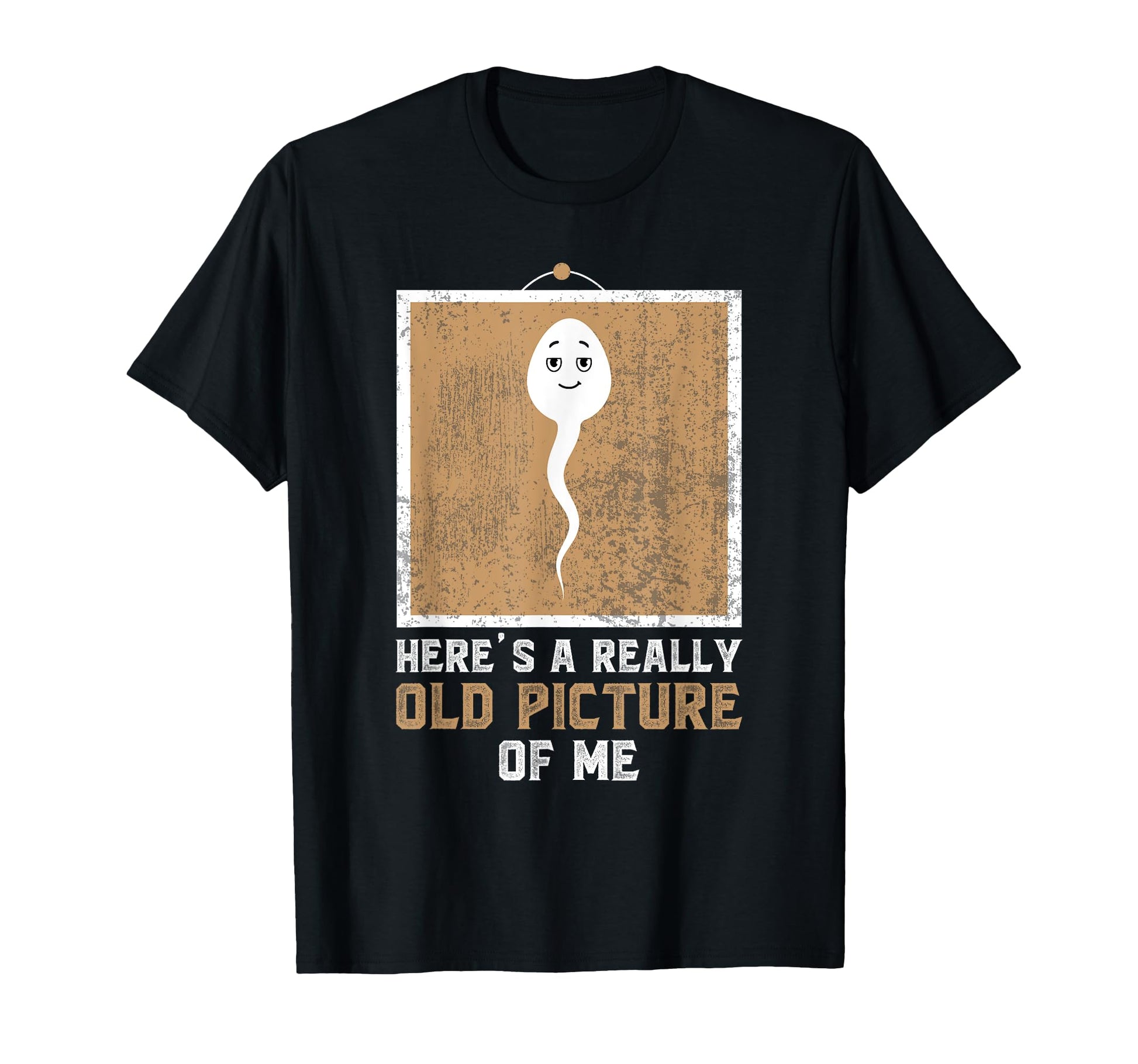 Funny Meme Heres Really Old Picture T-Shirt - Aesthetic Graphic for Adults - T-Shirt, Sweatshirt, Hoodie