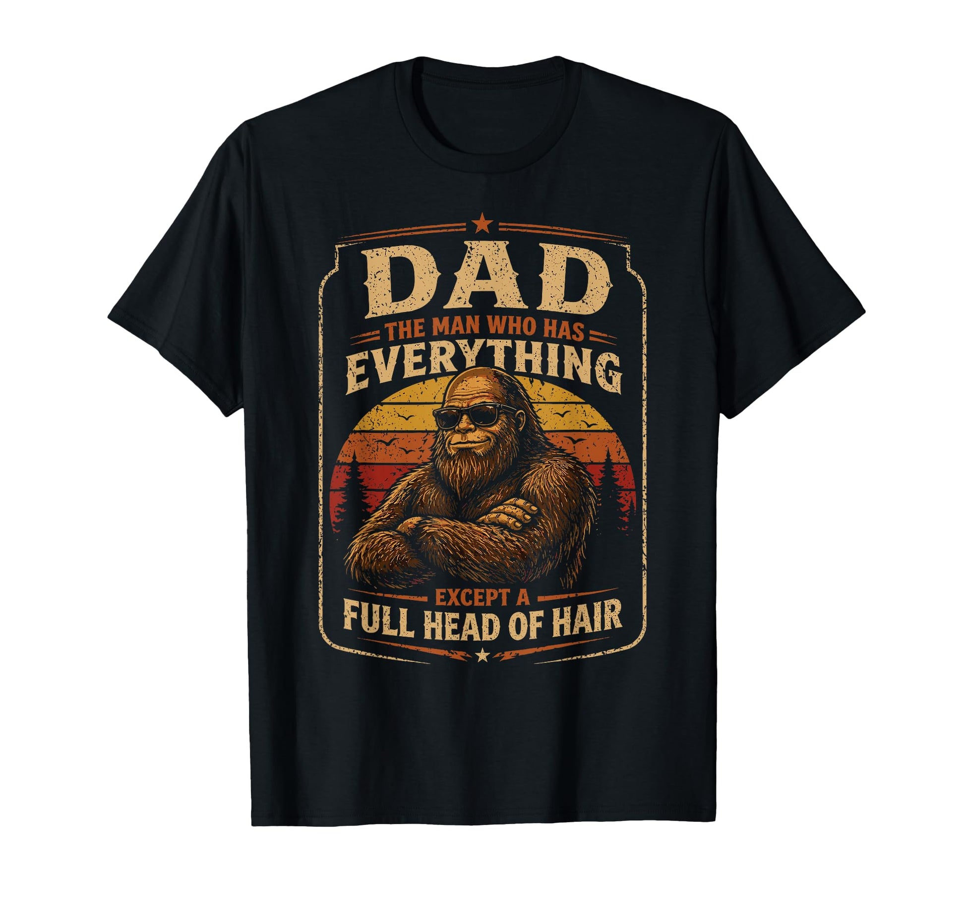 Dad Who Has Everything Except Hair T-Shirt - Aesthetic Graphic for Adults - T-Shirt, Sweatshirt, Hoodie
