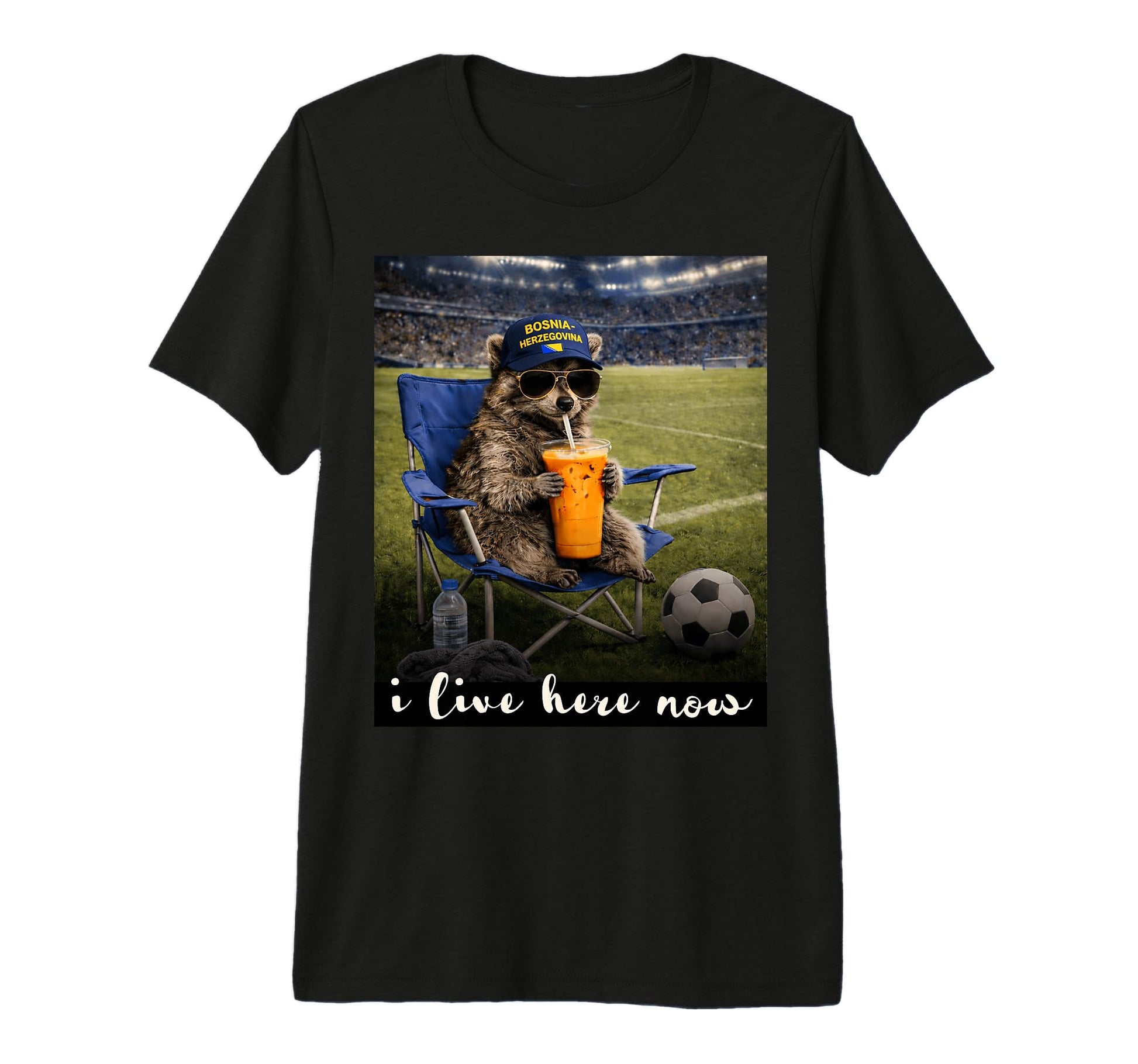 Funny Raccoon Bosnia Soccer Fan Futbol T-Shirt - Unique Graphic Men Women - T-Shirt, Sweatshirt, Hoodie