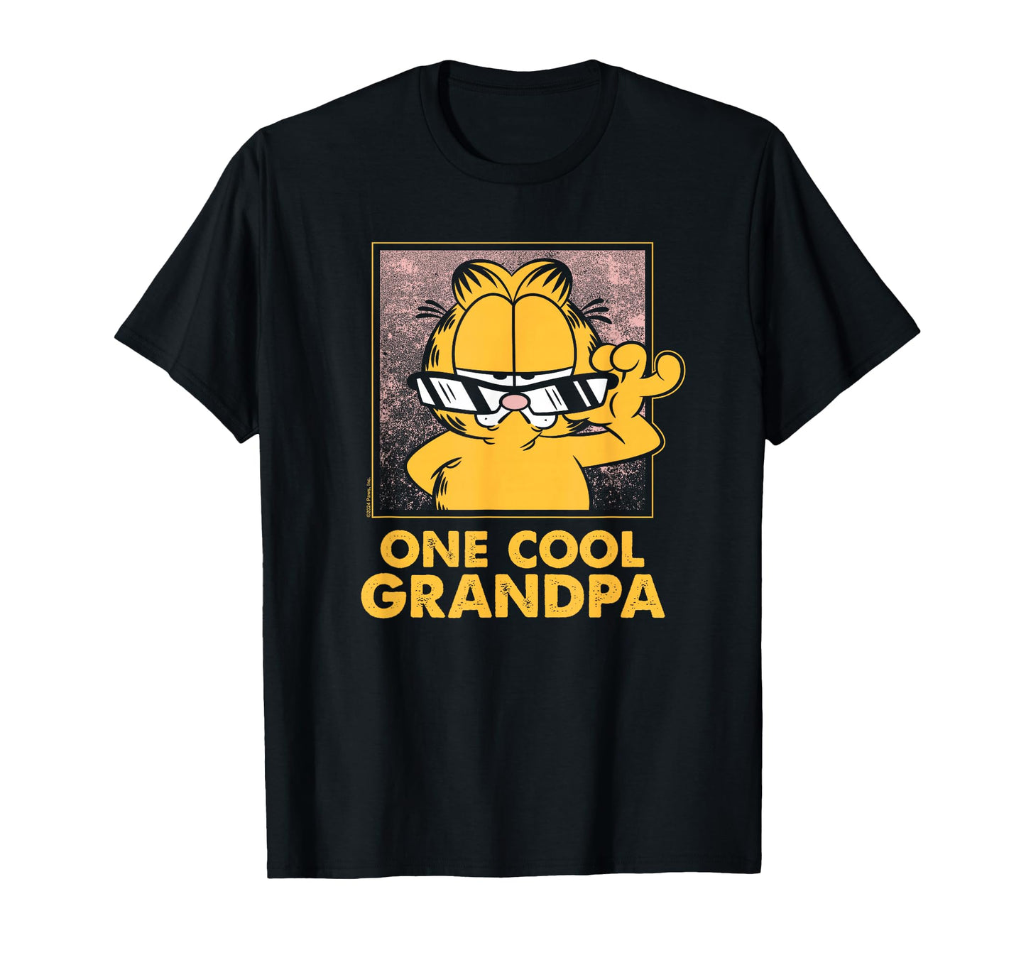 Garfield One Grandpa T-Shirt - Aesthetic Graphic for Adults - T-Shirt, Sweatshirt, Hoodie