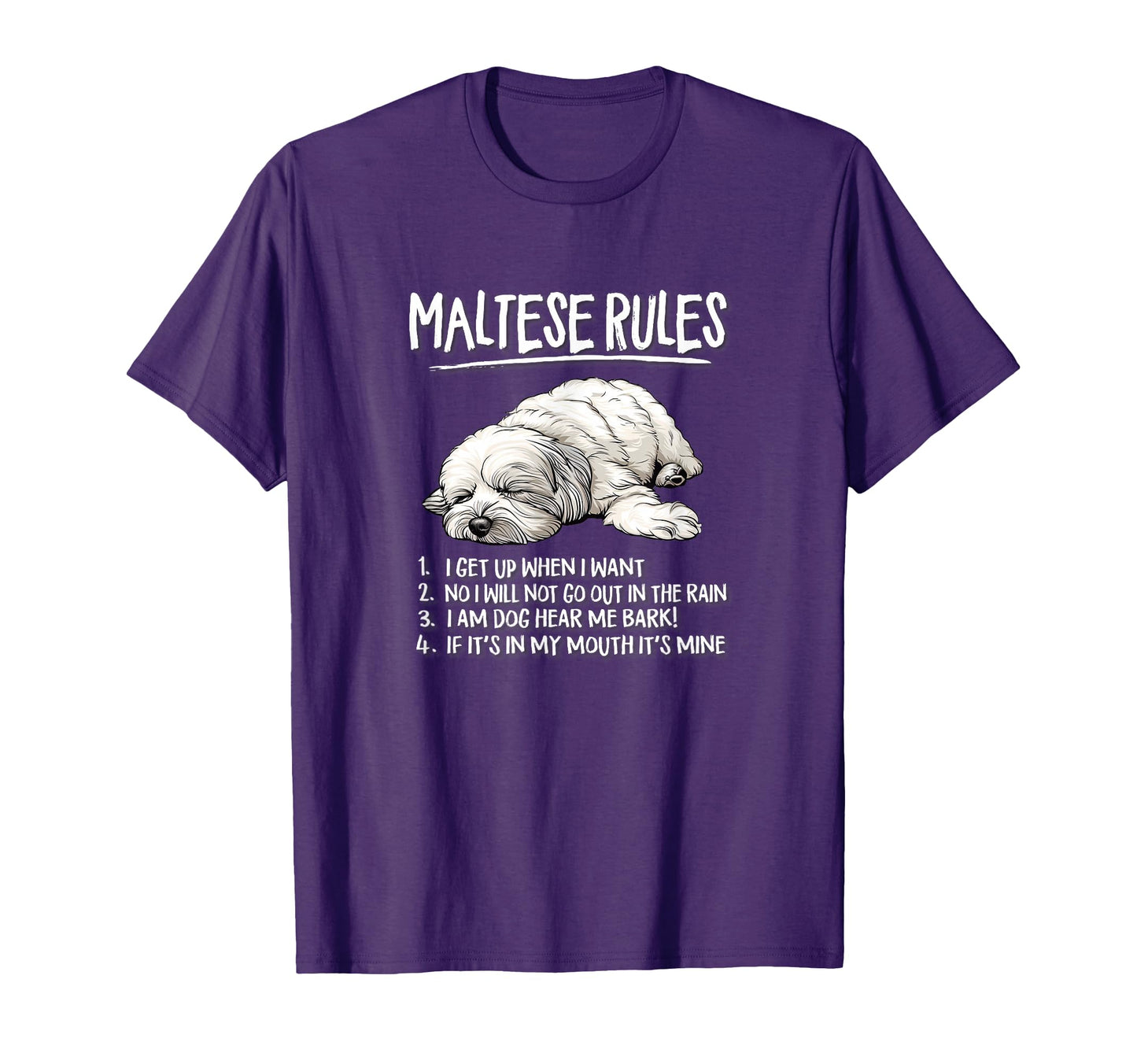 Mens Womens Funny Rules Sleeping T-Shirt - Custom Art Print for Adults - T-Shirt, Sweatshirt, Hoodie