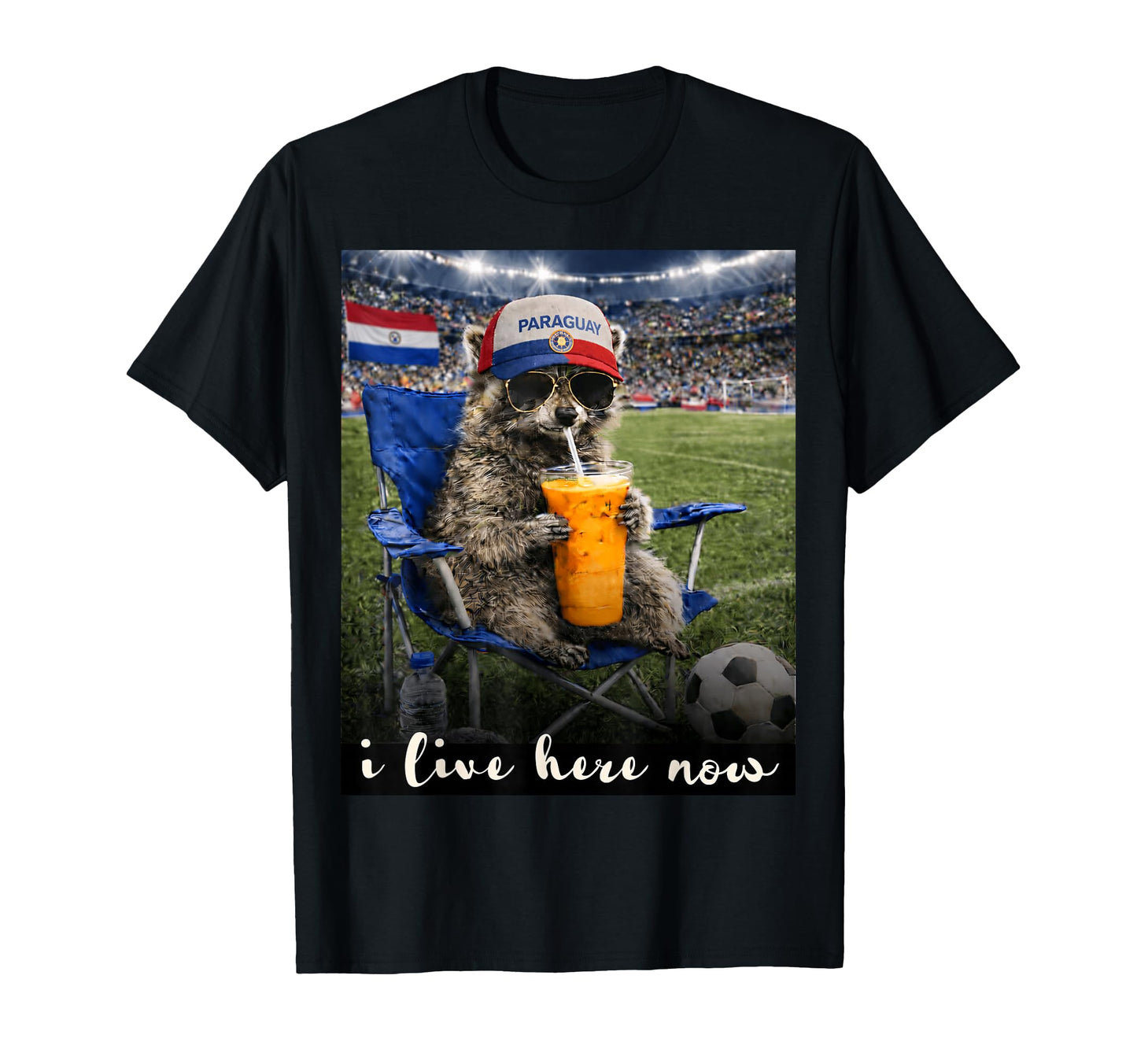Funny Raccoon Paraguay Soccer Fan T-Shirt - Aesthetic Graphic for Adults - T-Shirt, Sweatshirt, Hoodie