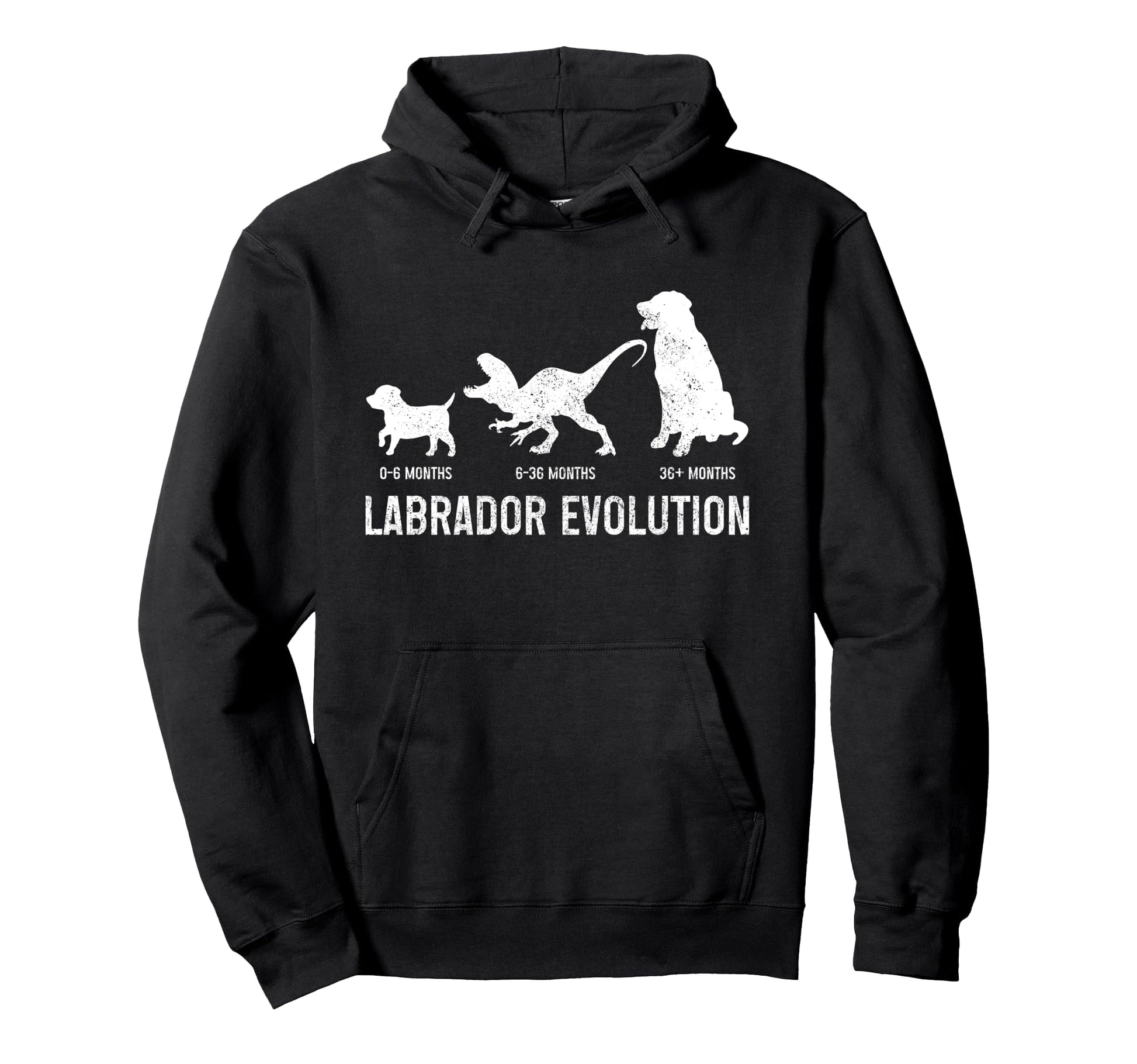 Labrador Evolution Funny Labrador Hoodie - Minimalist Print for Adults - T-Shirt, Sweatshirt, Hoodie