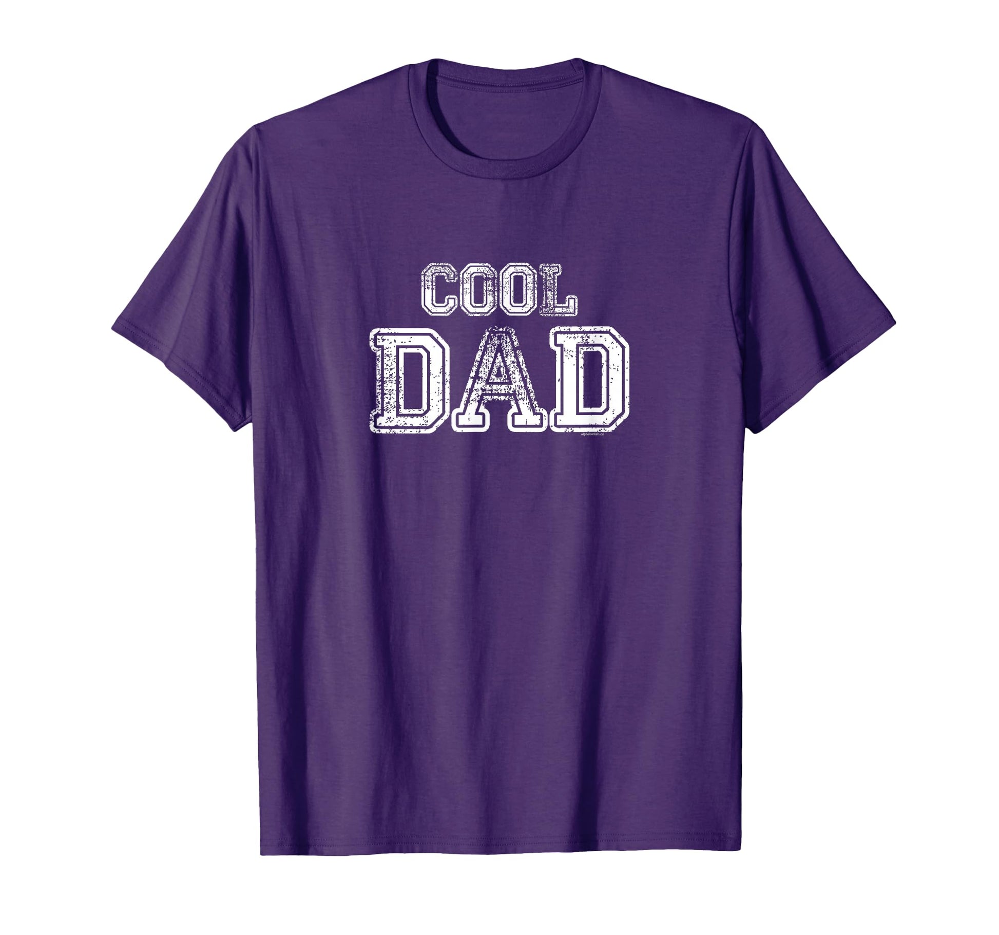 Dad Gifts Dad Dad Gift Fathers Day T-Shirt - Novelty Apparel for Adults - T-Shirt, Sweatshirt, Hoodie