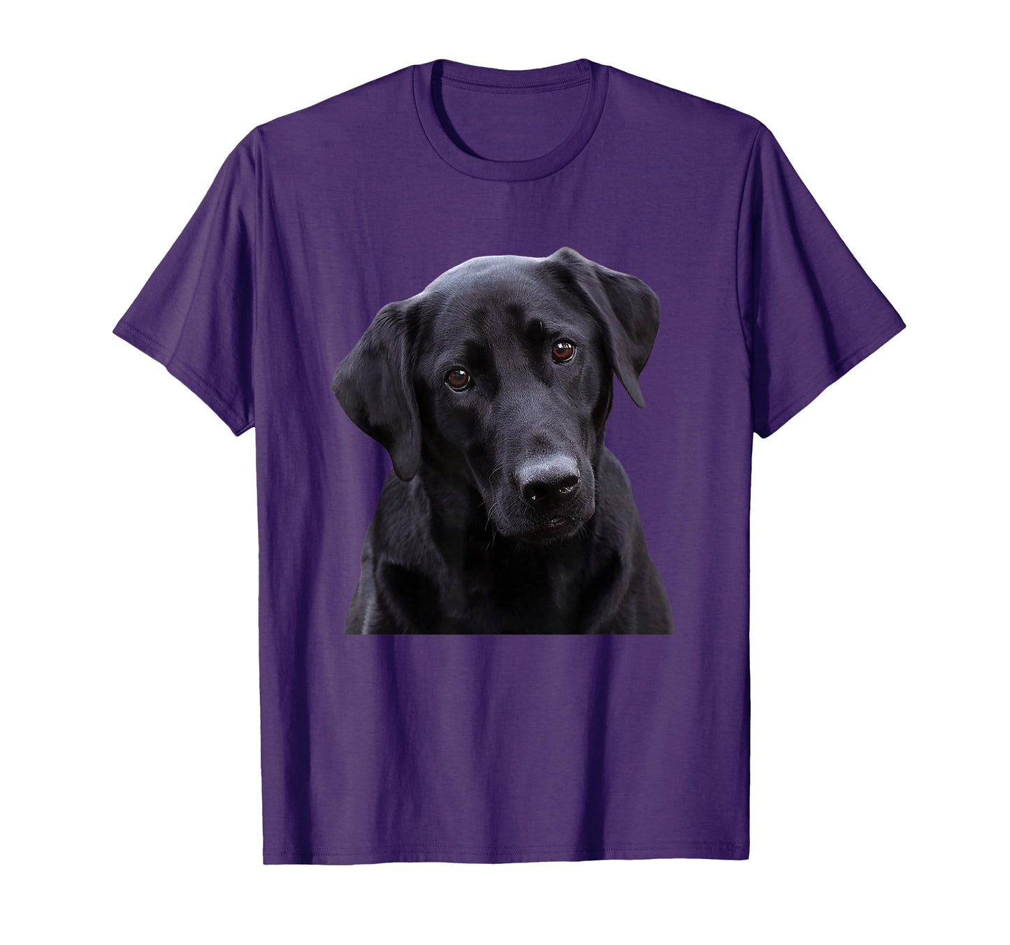 Love Is Labrador Retriever Black Lab T-Shirt - Trendy Graphic for Adults - T-Shirt, Sweatshirt, Hoodie