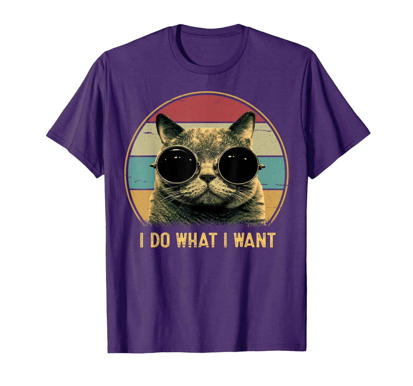 I Do What I Want Funny Cat Lover Cat T-Shirt - Aesthetic Graphic Unisex - T-Shirt, Sweatshirt, Hoodie
