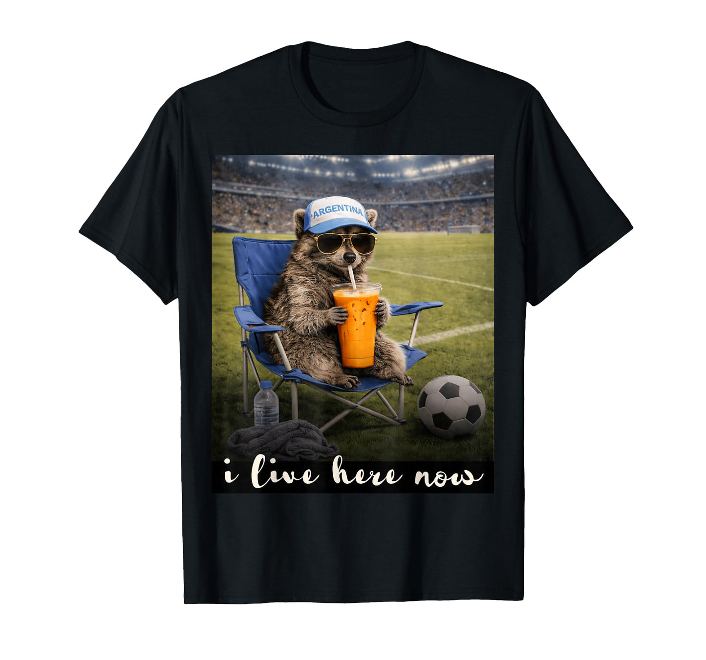 Funny Raccoon Argentina Soccer Fan T-Shirt - Aesthetic Graphic for Adults - T-Shirt, Sweatshirt, Hoodie