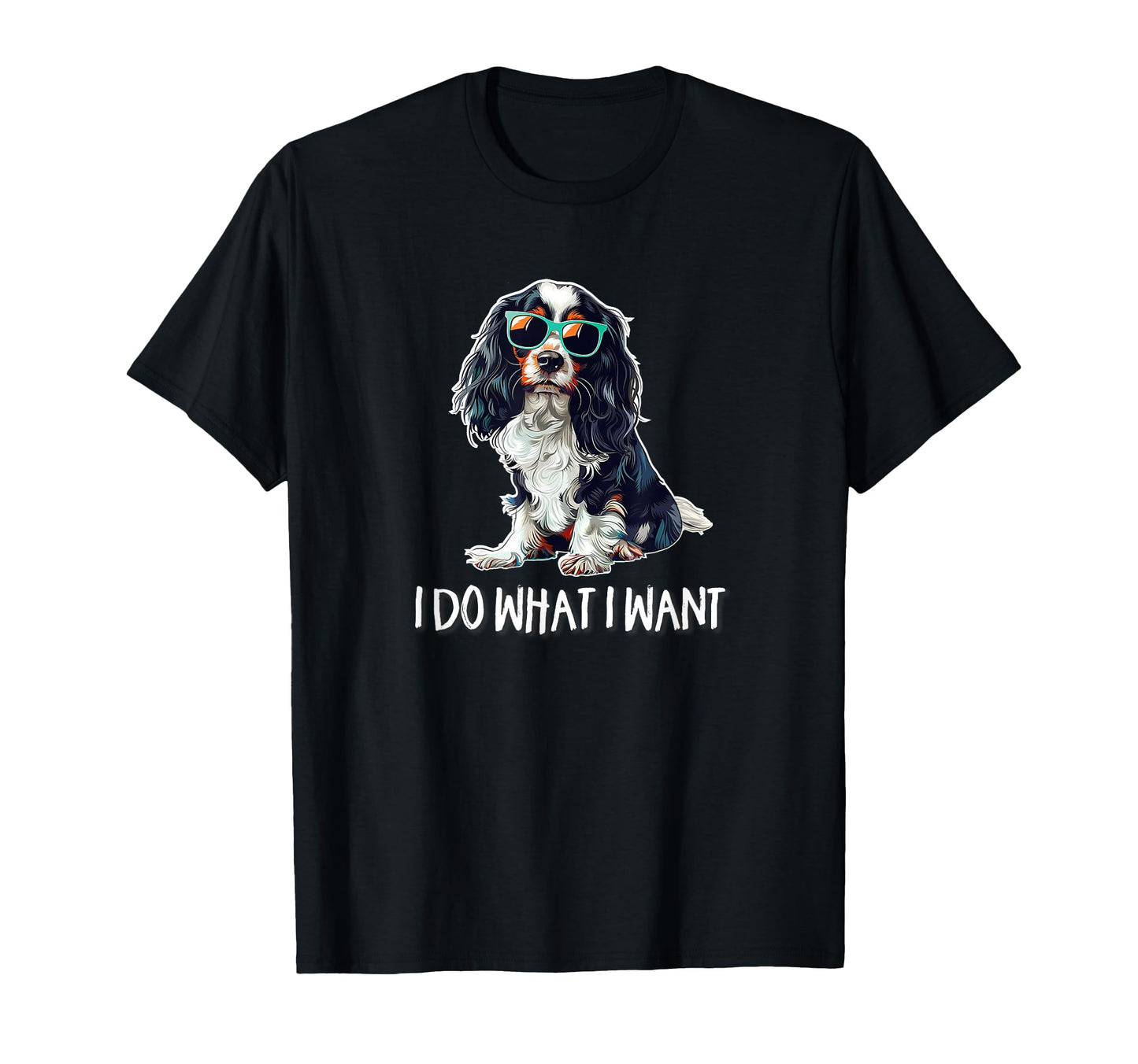 Funny Do What I Want Tricolor T-Shirt - Minimalist Print for Adults - T-Shirt, Sweatshirt, Hoodie