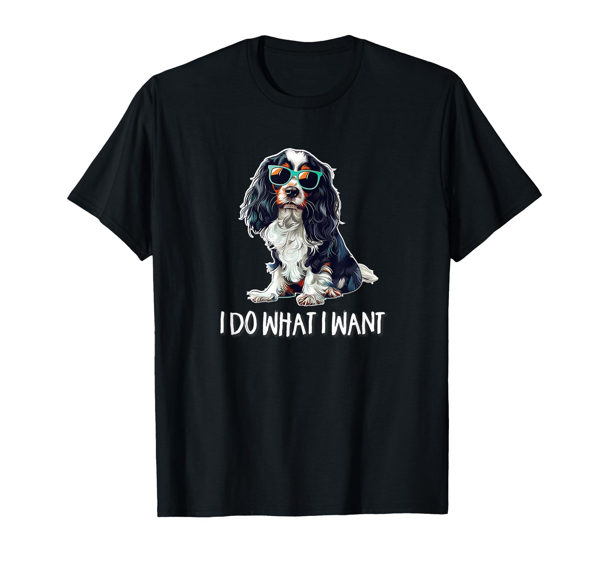 Funny Do What I Want Tricolor T-Shirt - Minimalist Print for Adults - T-Shirt, Sweatshirt, Hoodie