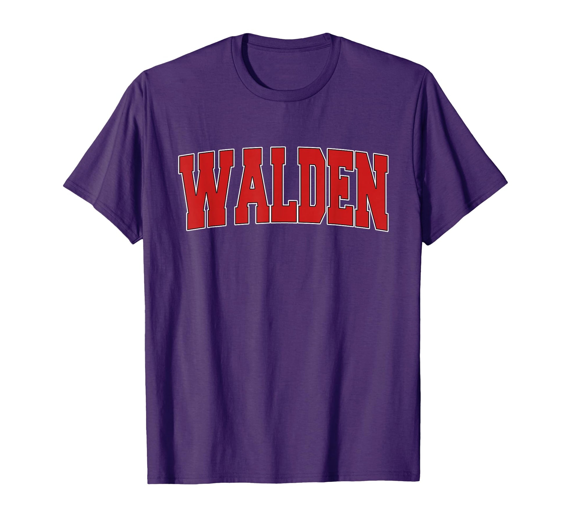 Walden Ny New York Varsity Usa T-Shirt - Aesthetic Graphic for Adults - T-Shirt, Sweatshirt, Hoodie
