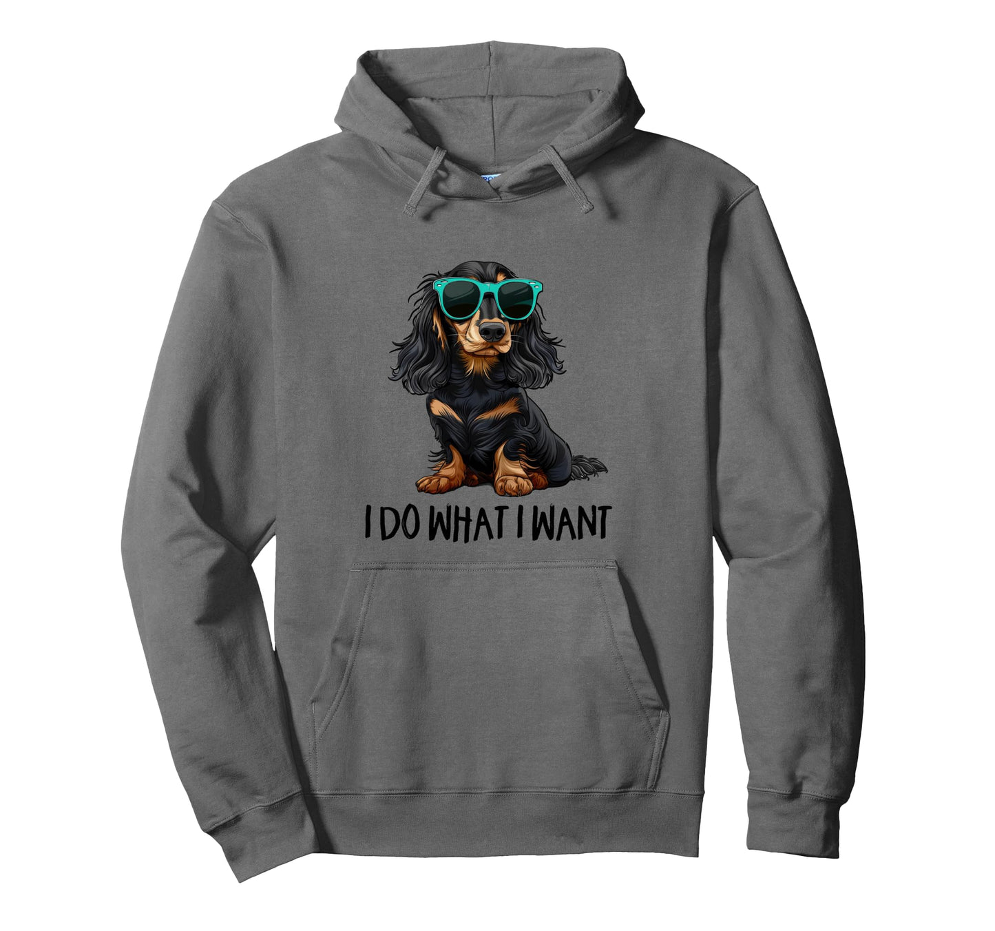 Funny Do What I Want Black Long Haired Hoodie - Streetwear Style Men Women - T-Shirt, Sweatshirt, Hoodie