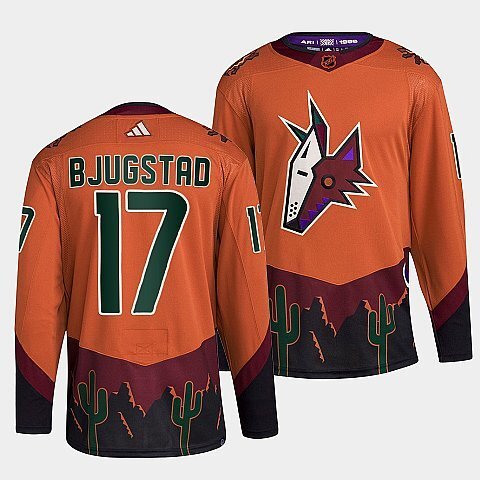 Arizona Coyotes #17 nick-bjugstad-orange-2022reverse-retro-2.0-authentic-primegreen-jersey sports jersey product view 1