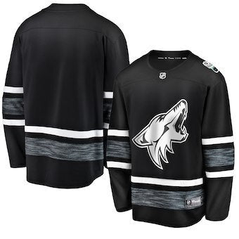 Arizona Coyotes blank black Hockey Jersey hockey jersey product view 1