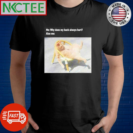 Awesome Me Why does my back always hurt Also me cat shirt Unisex T-shirt, Sweatshirt, Hoodie, Long Sleeve Tee - T-Shirt, Sweatshirt, Hoodie