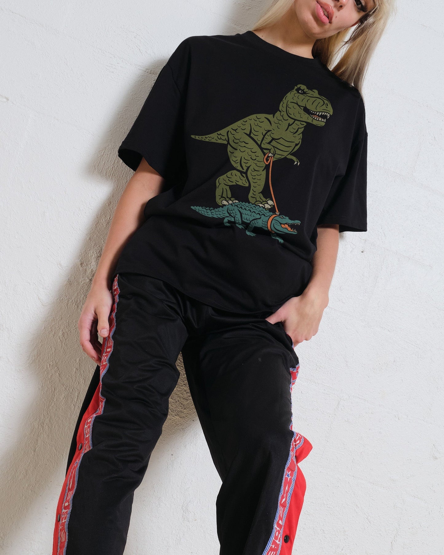 Dino's Best Friend T-Shirt Unisex T-shirt, Sweatshirt, Hoodie, Long Sleeve Tee - T-Shirt, Sweatshirt, Hoodie