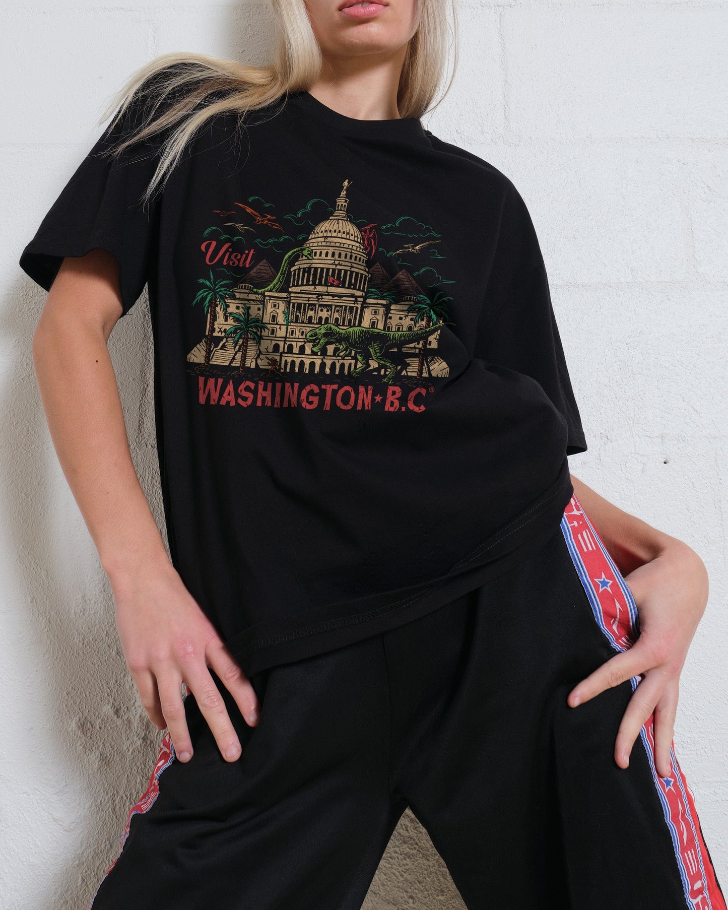 Washington BC T-Shirt Unisex T-shirt, Sweatshirt, Hoodie, Long Sleeve Tee - T-Shirt, Sweatshirt, Hoodie