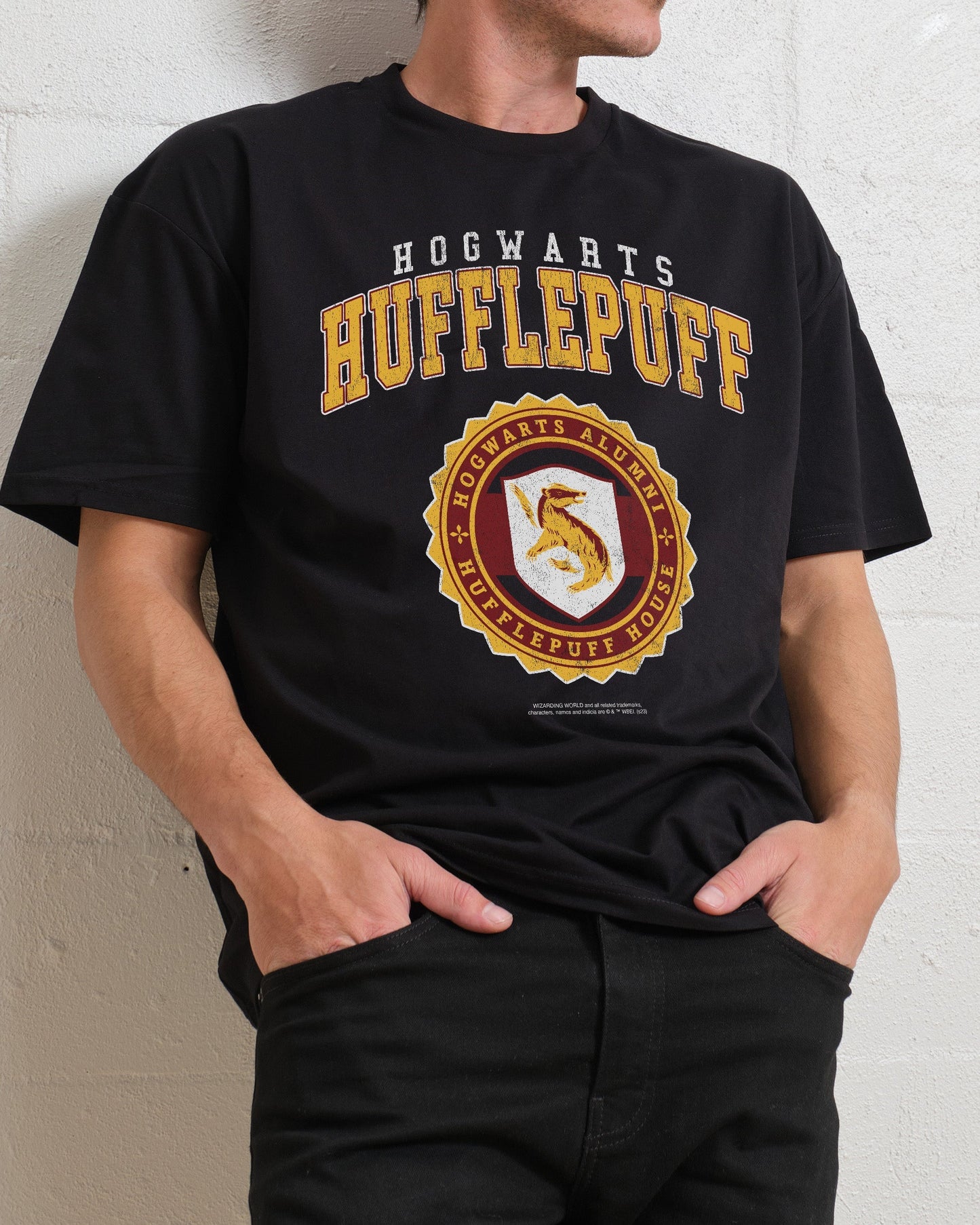Hufflepuff College T-Shirt Unisex T-shirt, Sweatshirt, Hoodie, Long Sleeve Tee - T-Shirt, Sweatshirt, Hoodie
