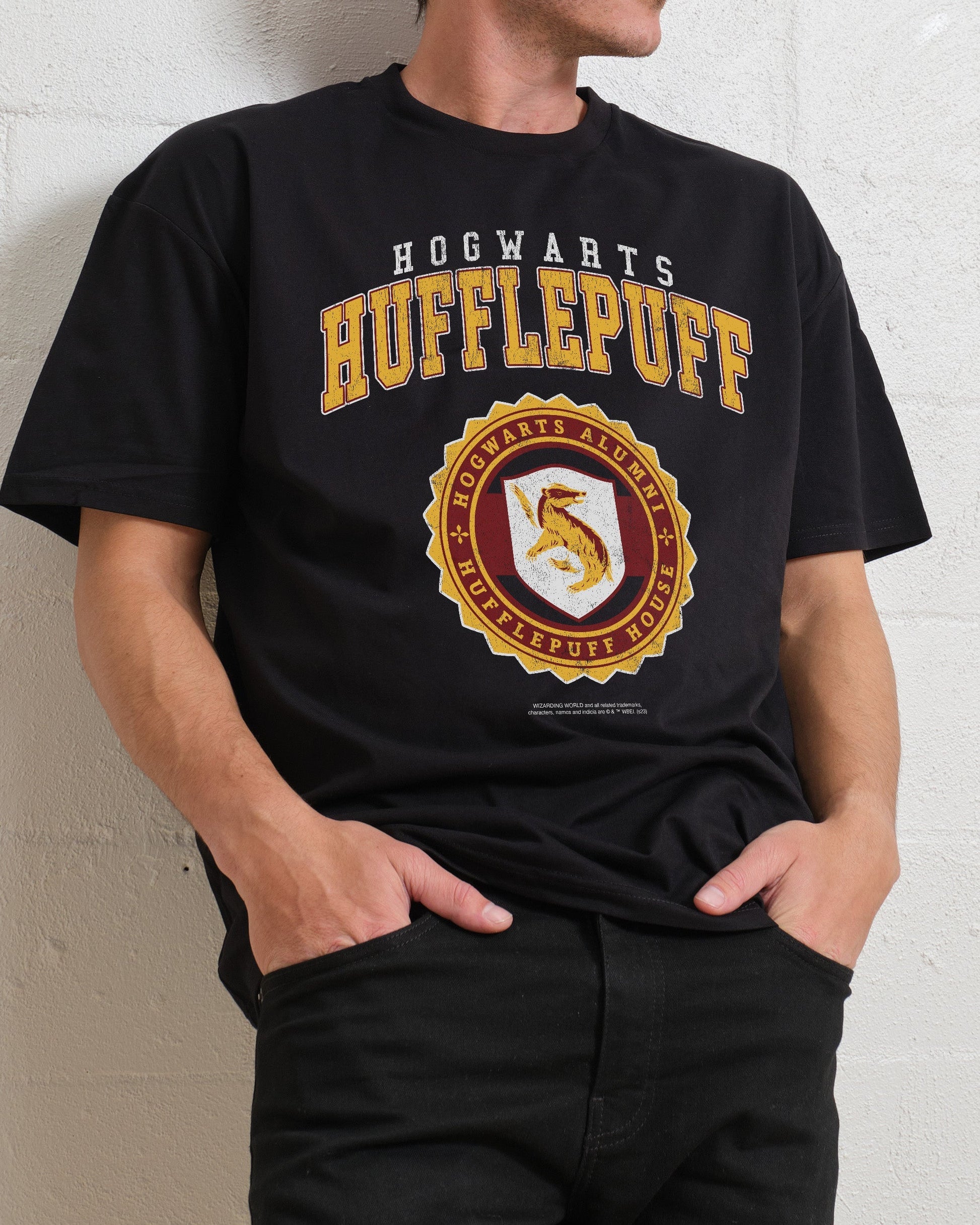 Hufflepuff College T-Shirt Unisex T-shirt, Sweatshirt, Hoodie, Long Sleeve Tee - T-Shirt, Sweatshirt, Hoodie