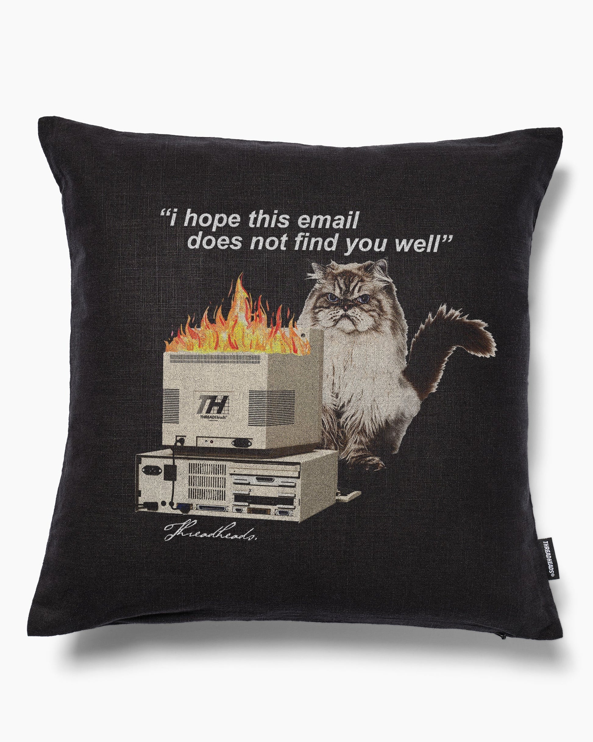 I Hope This Email Cushion Unisex T-shirt, Sweatshirt, Hoodie, Long Sleeve Tee - T-Shirt, Sweatshirt, Hoodie