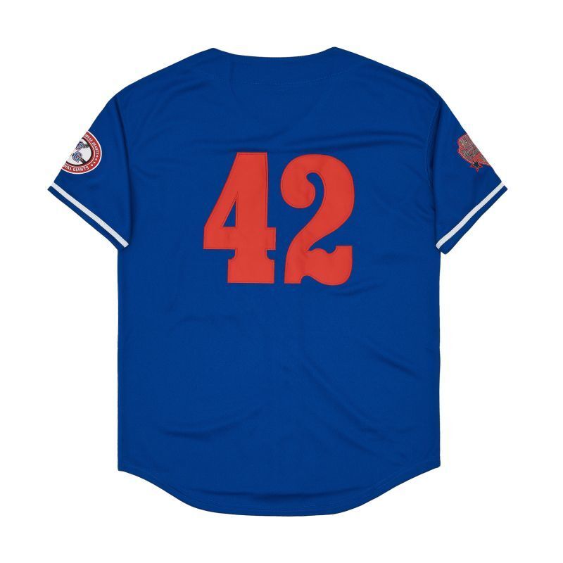 Brooklyn #42 Style 1 College Football Jersey football jersey product view 1