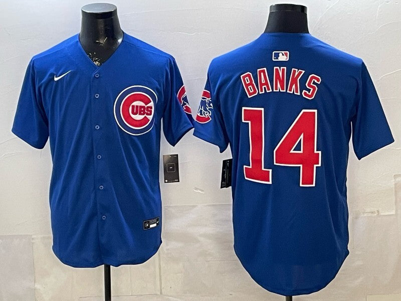 Chicago Cubs #14 Ernie Banks Cubs Adult Baseball Jersey baseball jersey product view 1