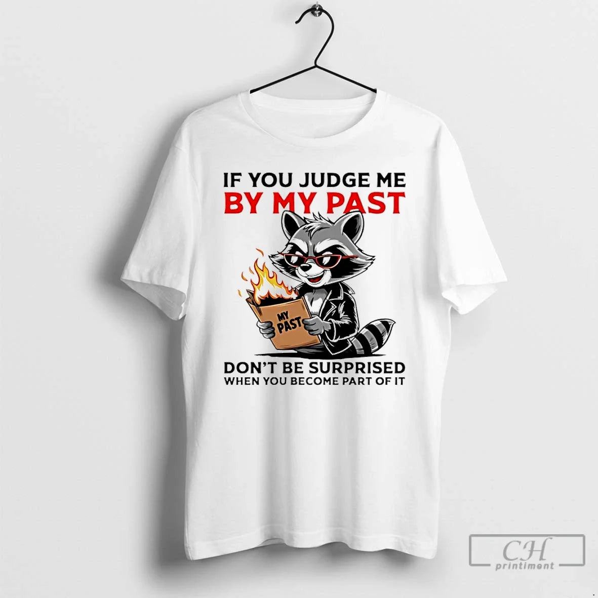 Classic Raccoon If You Judge Me By My Past Dont Be Surprised When You Become - T-Shirt, Sweatshirt, Hoodie