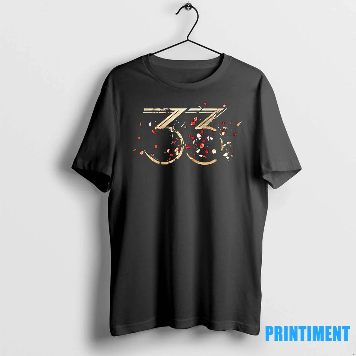 Expedition 33 Petals Tshirts Sweater Unisex T-shirt, Sweatshirt, Hoodie, Long Sleeve Tee - T-Shirt, Sweatshirt, Hoodie