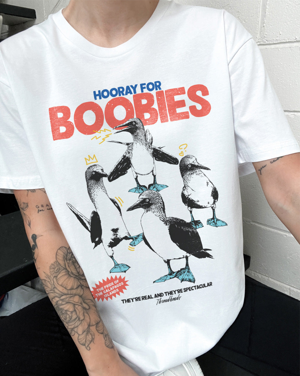 Hooray for Boobies T-Shirt Unisex T-shirt, Sweatshirt, Hoodie, Long Sleeve Tee - T-Shirt, Sweatshirt, Hoodie