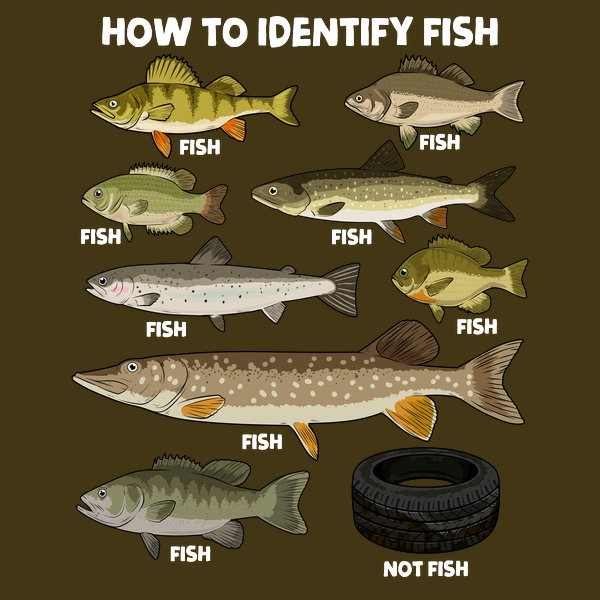 How To Indetify Fish Unisex T-shirt, Sweatshirt, Hoodie, Long Sleeve Tee - T-Shirt, Sweatshirt, Hoodie