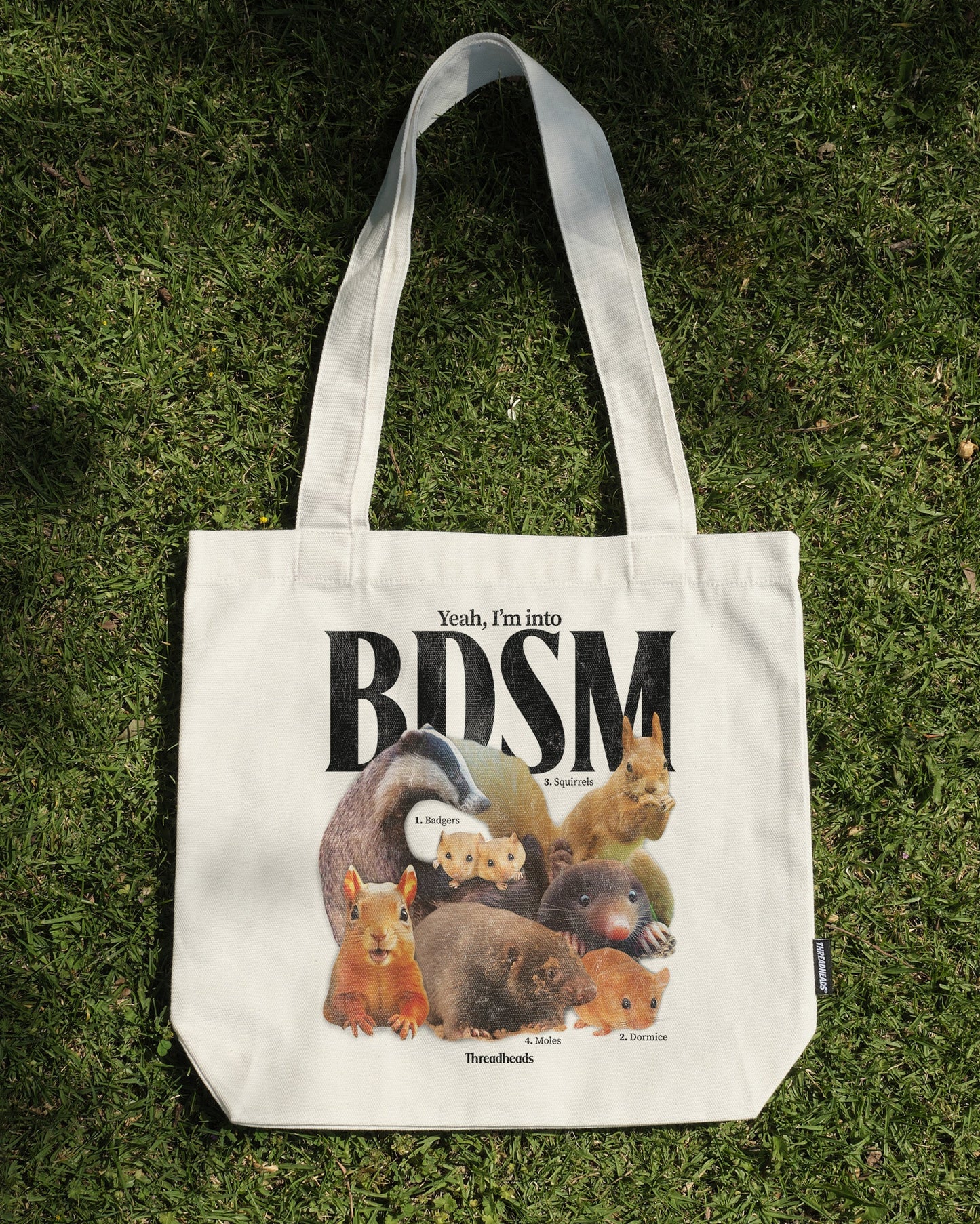 BDSM Tote Bag Unisex T-shirt, Sweatshirt, Hoodie, Long Sleeve Tee - T-Shirt, Sweatshirt, Hoodie