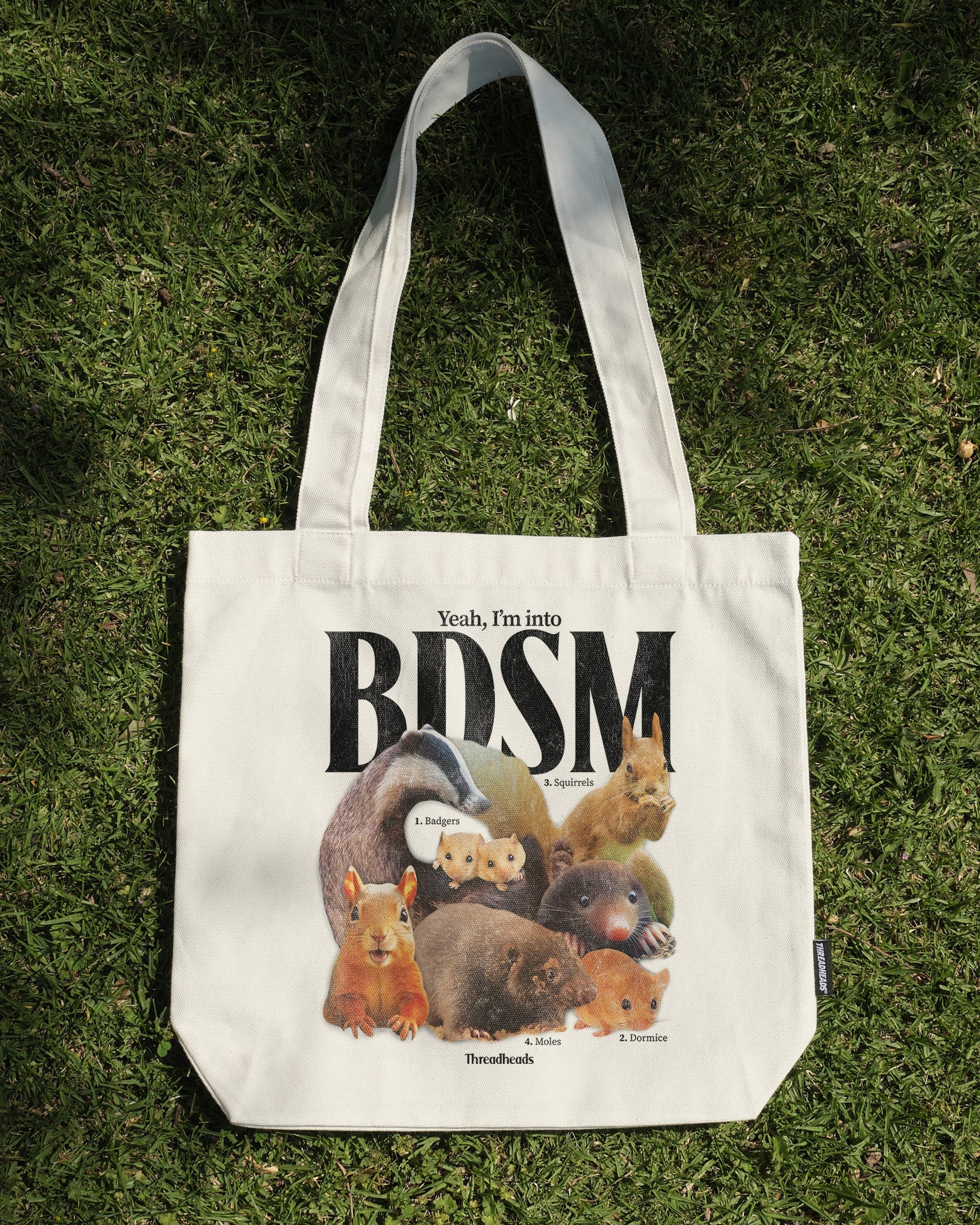 BDSM Tote Bag Unisex T-shirt, Sweatshirt, Hoodie, Long Sleeve Tee - T-Shirt, Sweatshirt, Hoodie