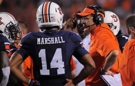 Nick Marshall 14 Navy Blue2 College Football Jersey football jersey product view 1