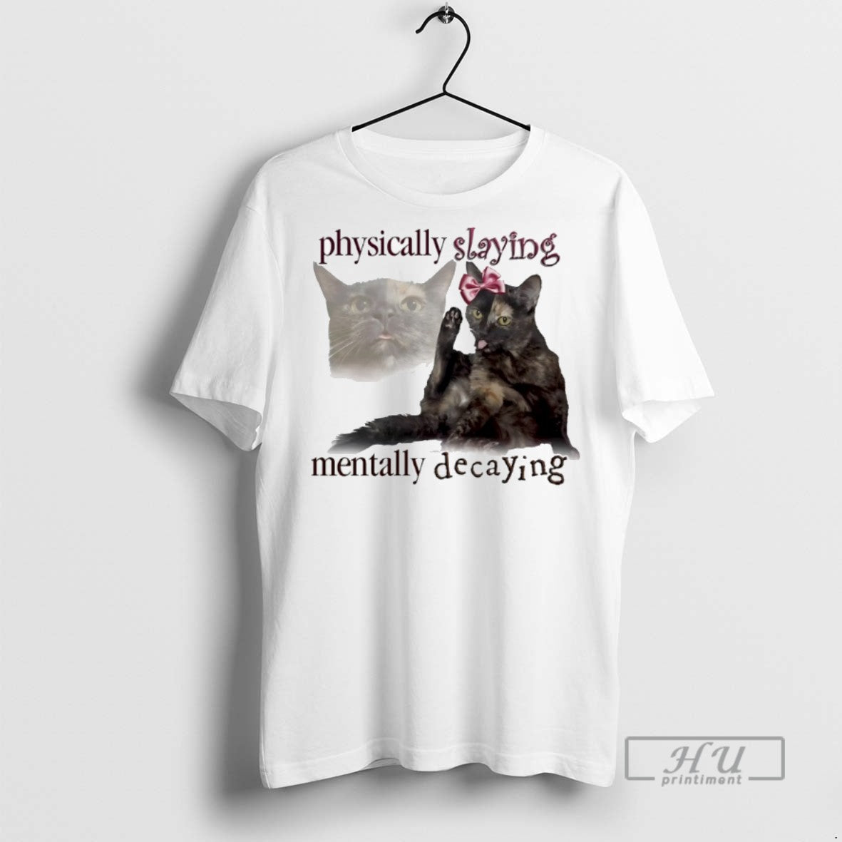 Officials Lilly The Cat Physically Slaying Mentally Decaying T Shirts Unisex T-shirt, Sweatshirt, Hoodie, Long Sleeve Tee - T-Shirt, Sweatshirt, Hoodie