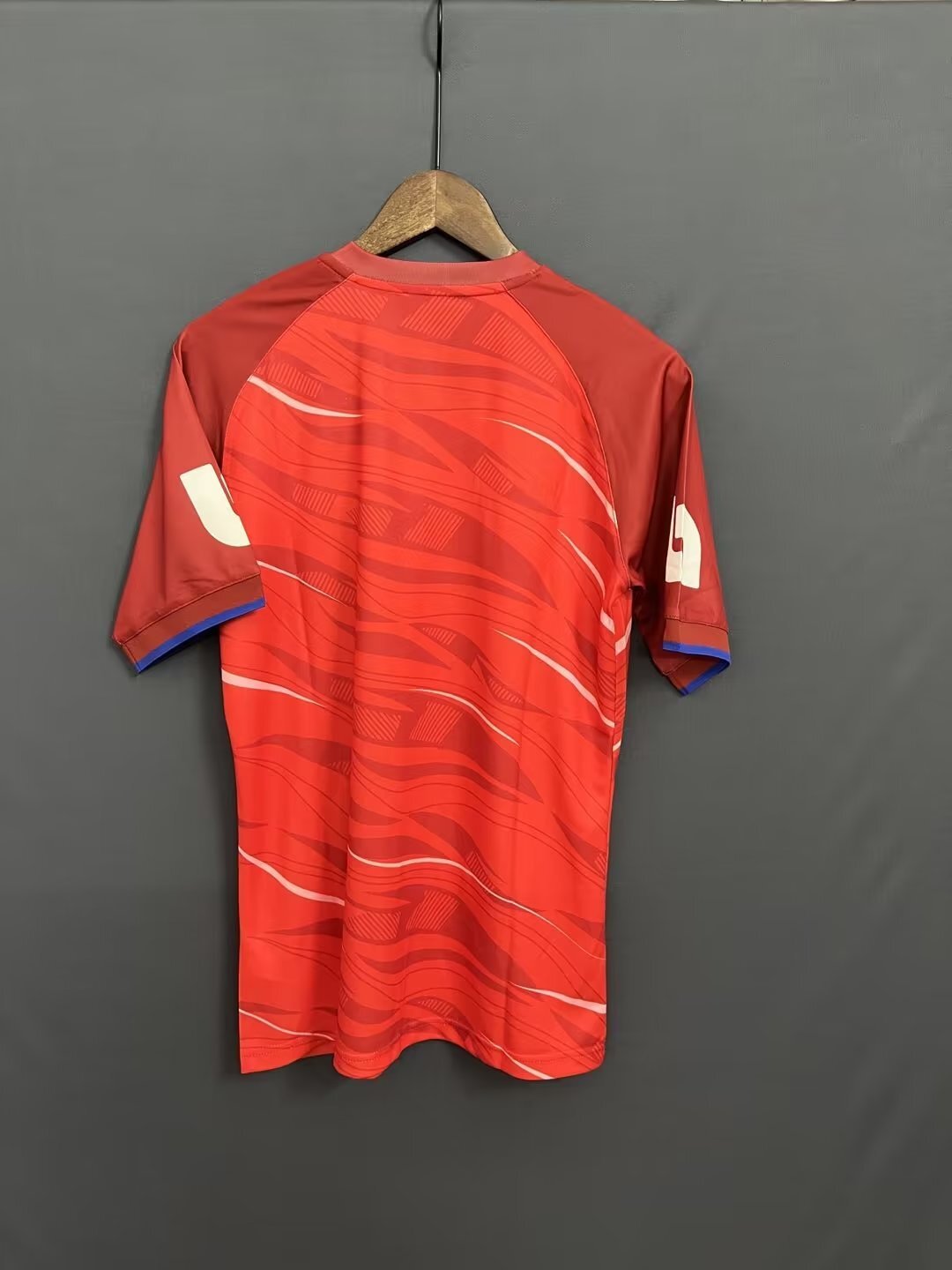 Olimpia Style 1 Soccer Jersey sports jersey product view 1