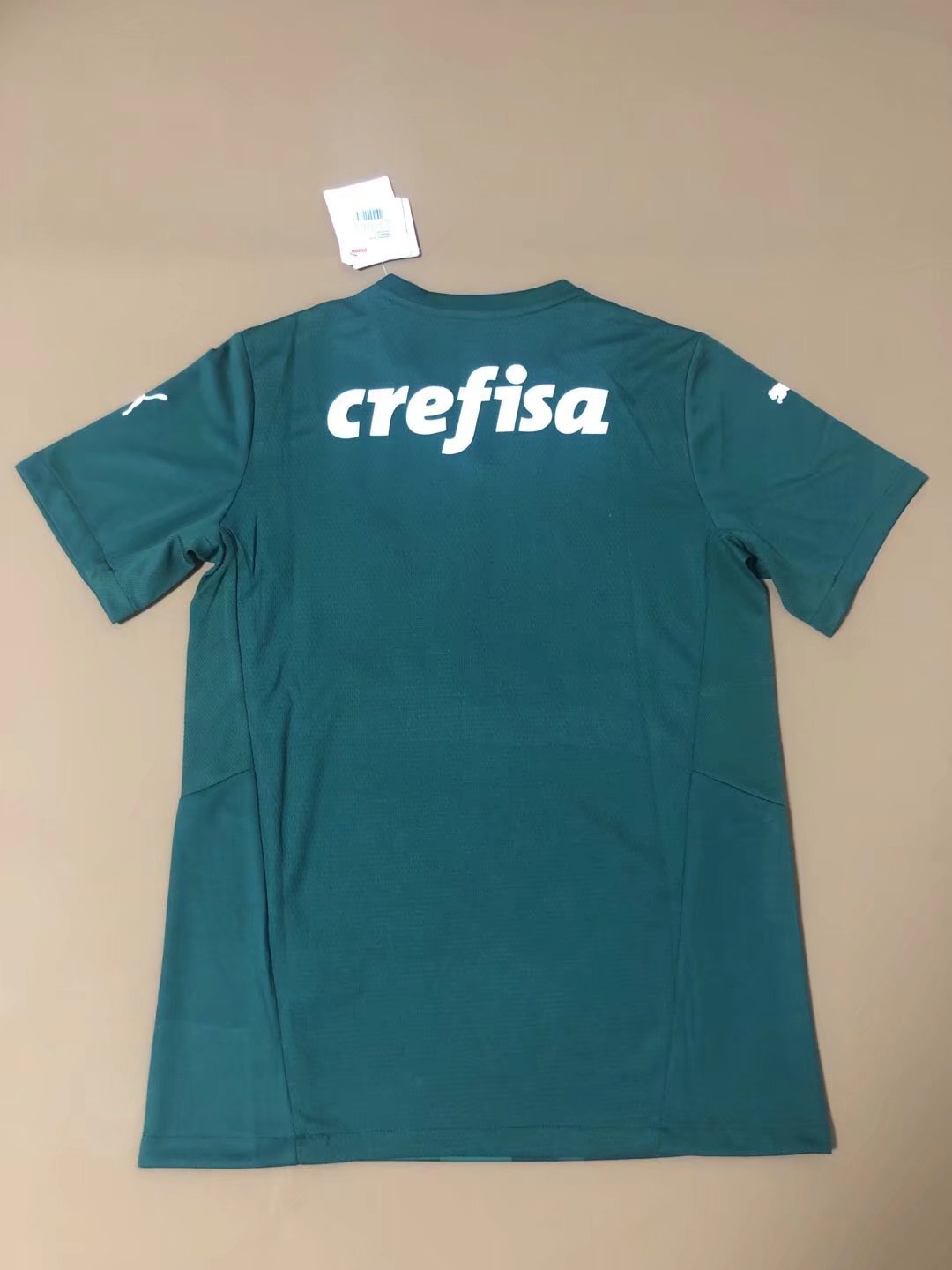Palmeiras 22-23 Palmeiras Thai Edition 1 Style 1 Soccer Jersey sports jersey product view 1