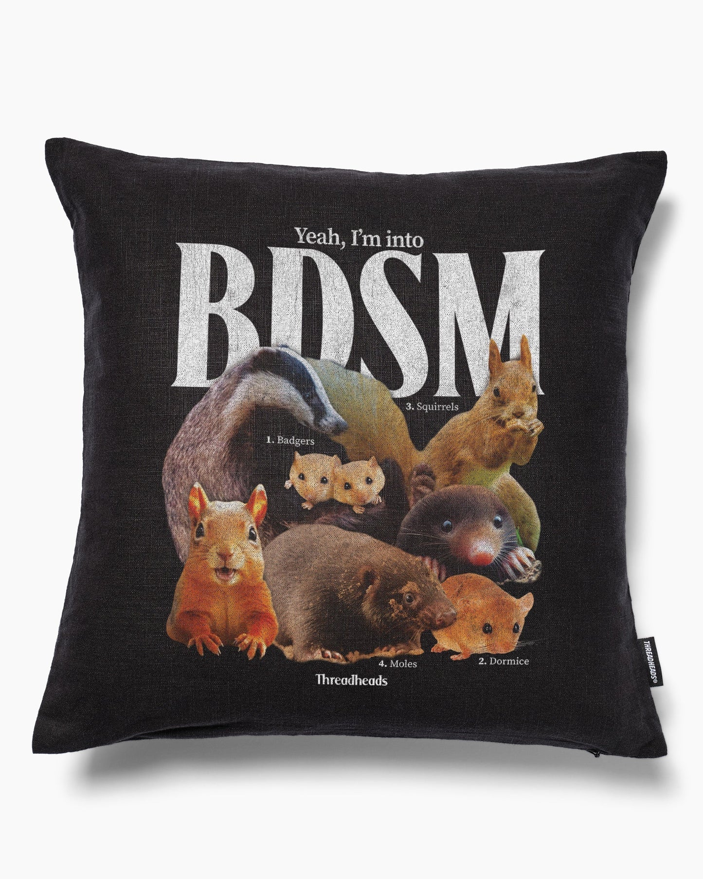 BDSM Cushion Unisex T-shirt, Sweatshirt, Hoodie, Long Sleeve Tee - T-Shirt, Sweatshirt, Hoodie